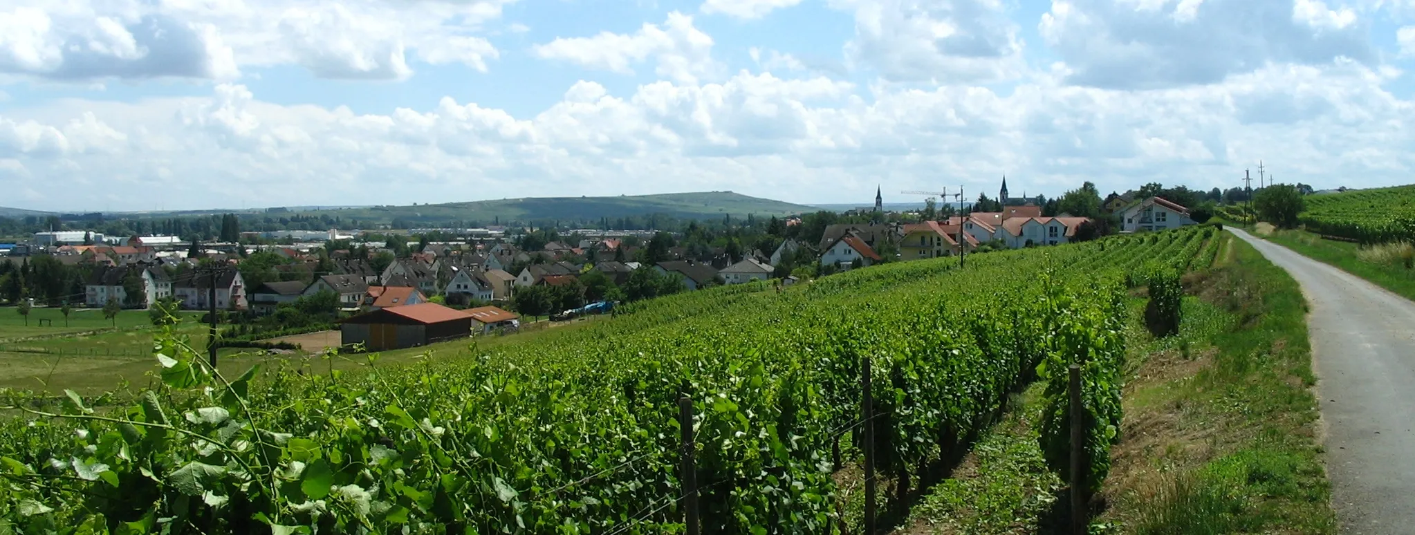 Photo showing: Langenlonsheim an der Nahe