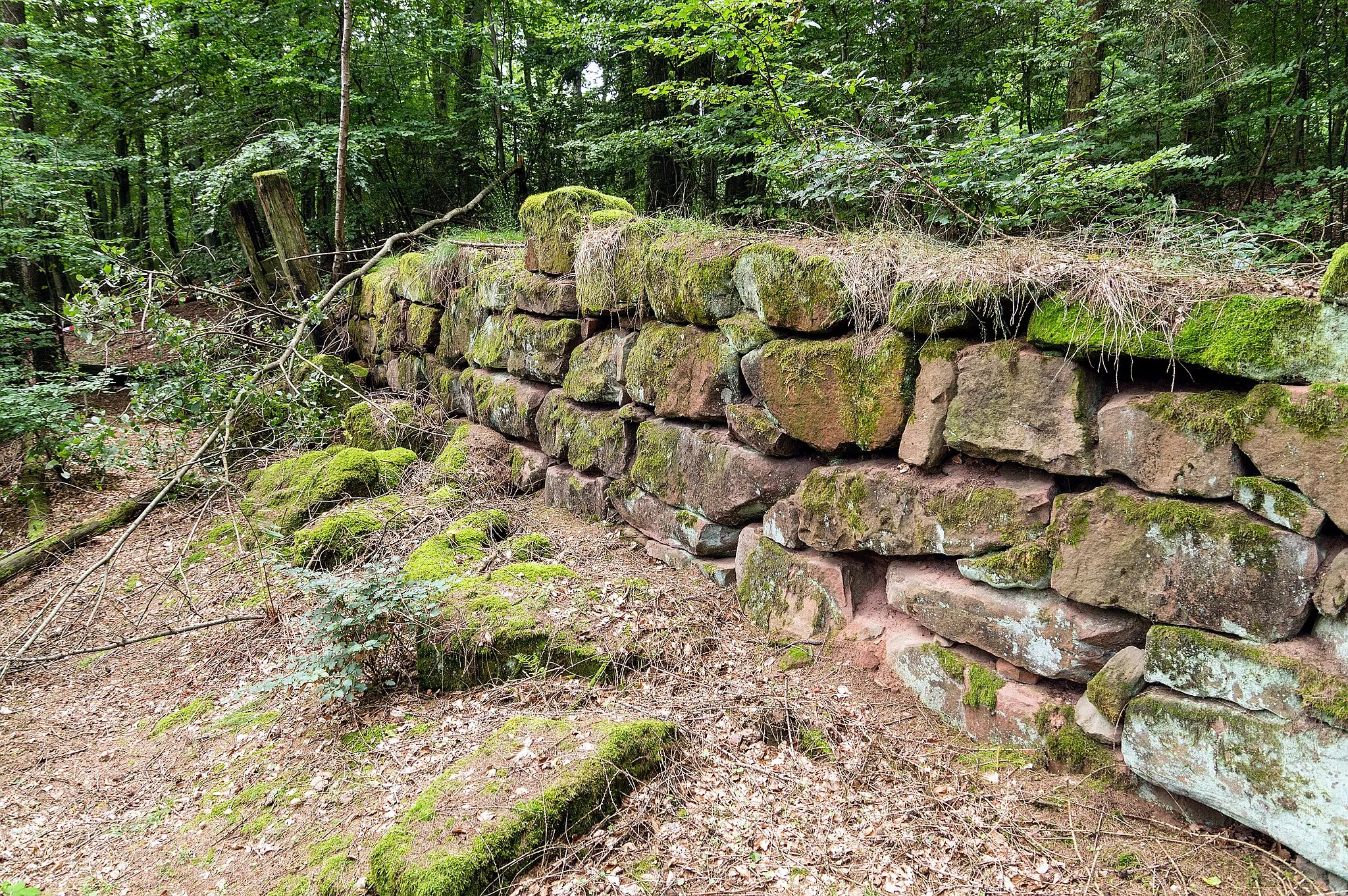 Photo showing: Spätrömische Höhensiedlung Großer Berg. Einsturz von Mauerteilen der rekonstruierten Mauer.