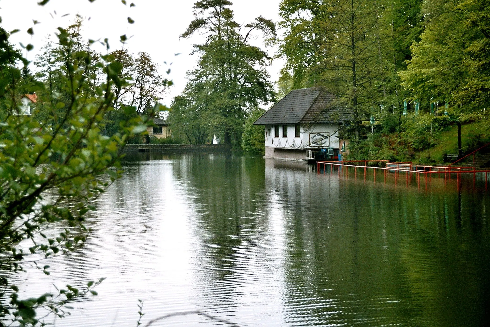 Photo showing: Kindsbach, pond in the Bärenloch