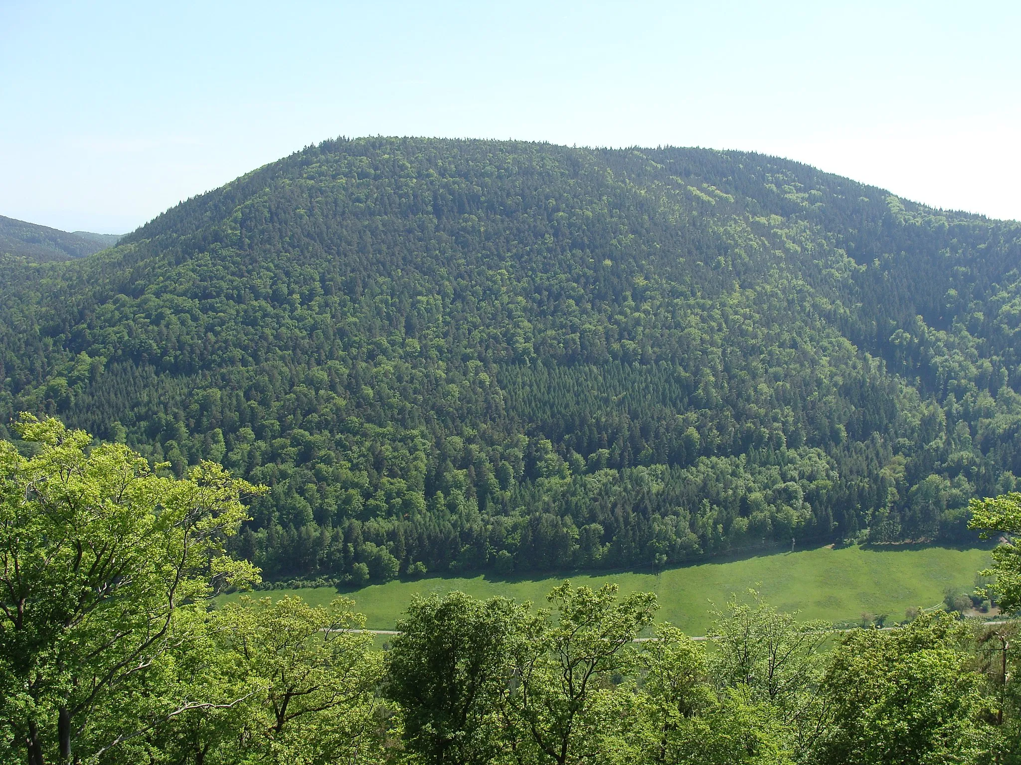 Photo showing: Roßberg (Pfälzerwald) - Blick vom Frankenfelsen