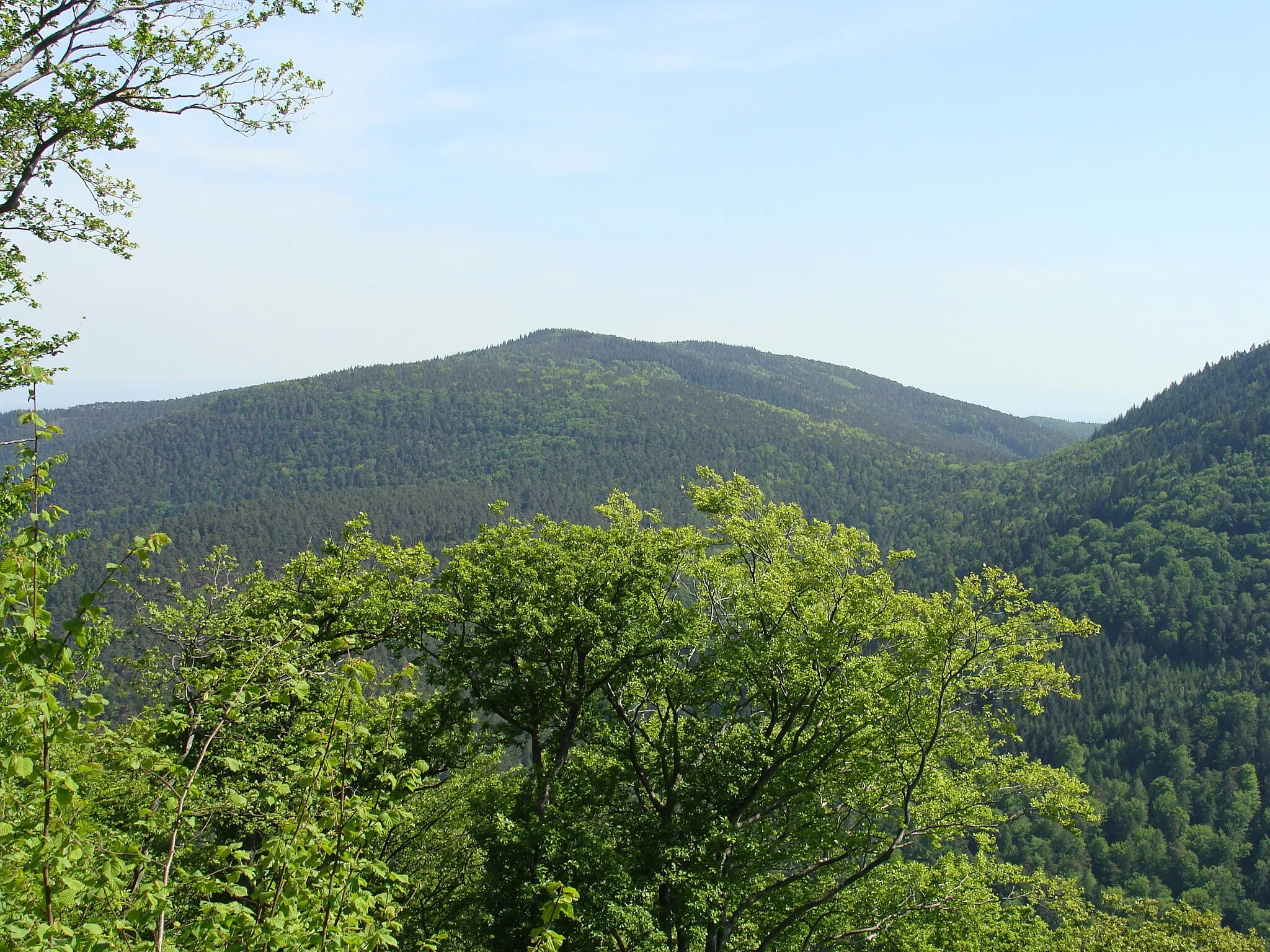 Photo showing: Lambertskopf im Pfälzerwald