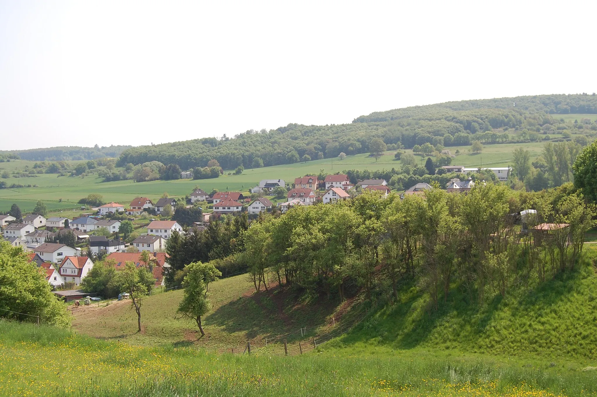 Photo showing: Schloßböckelheim in the Nahe-valley, Germany.