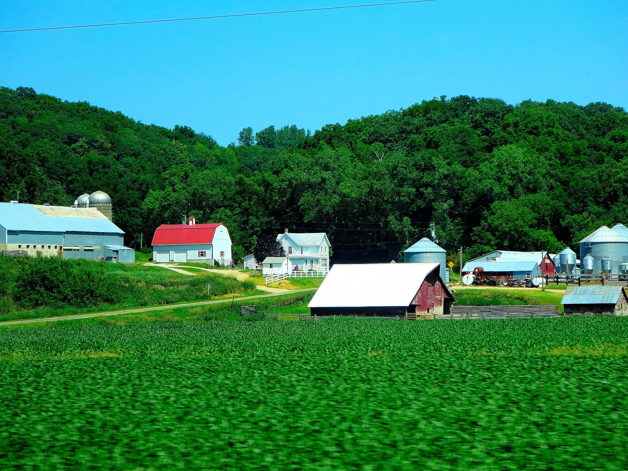 Photo showing: Dairy Farm in Platte River Valley