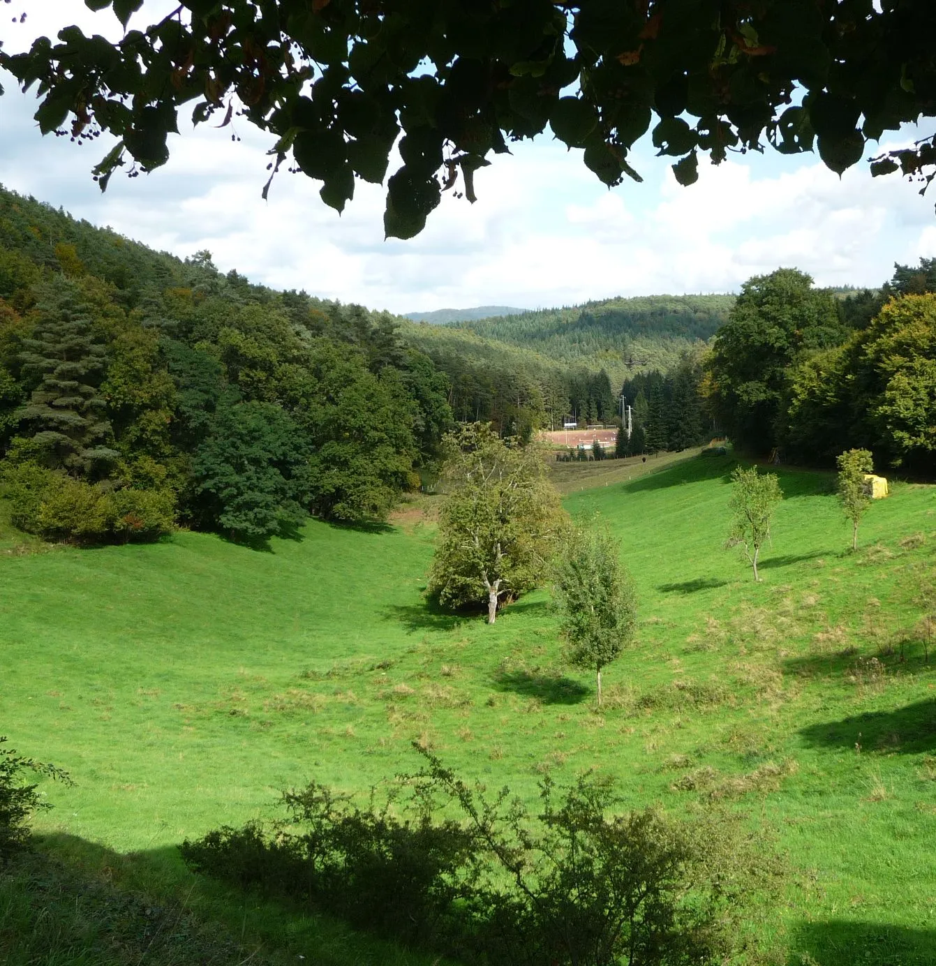 Photo showing: Blick von Esthal zum ASV-Stadion