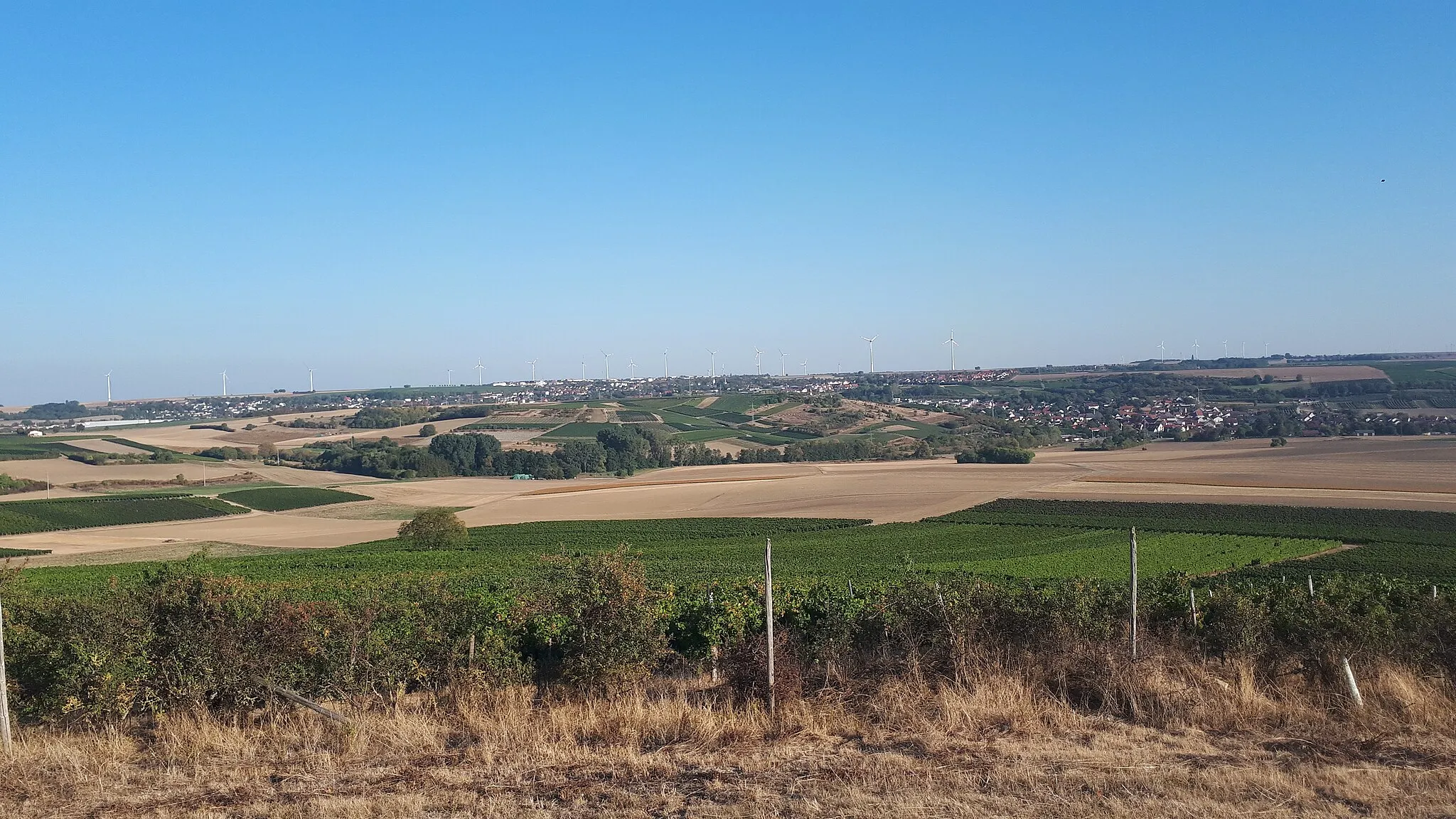 Photo showing: Das Bild wurde aufgenommen vom Edesberg und erkennbar sind Wörrstadt (hinten) und Sulzheim (vorne rechts), sowie der Schildberg (links von Sulzheim)