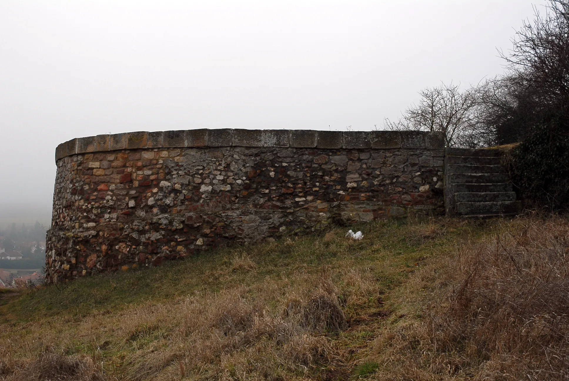 Photo showing: Remains of a tower of the ruins of Castle Neu-Bolanden.