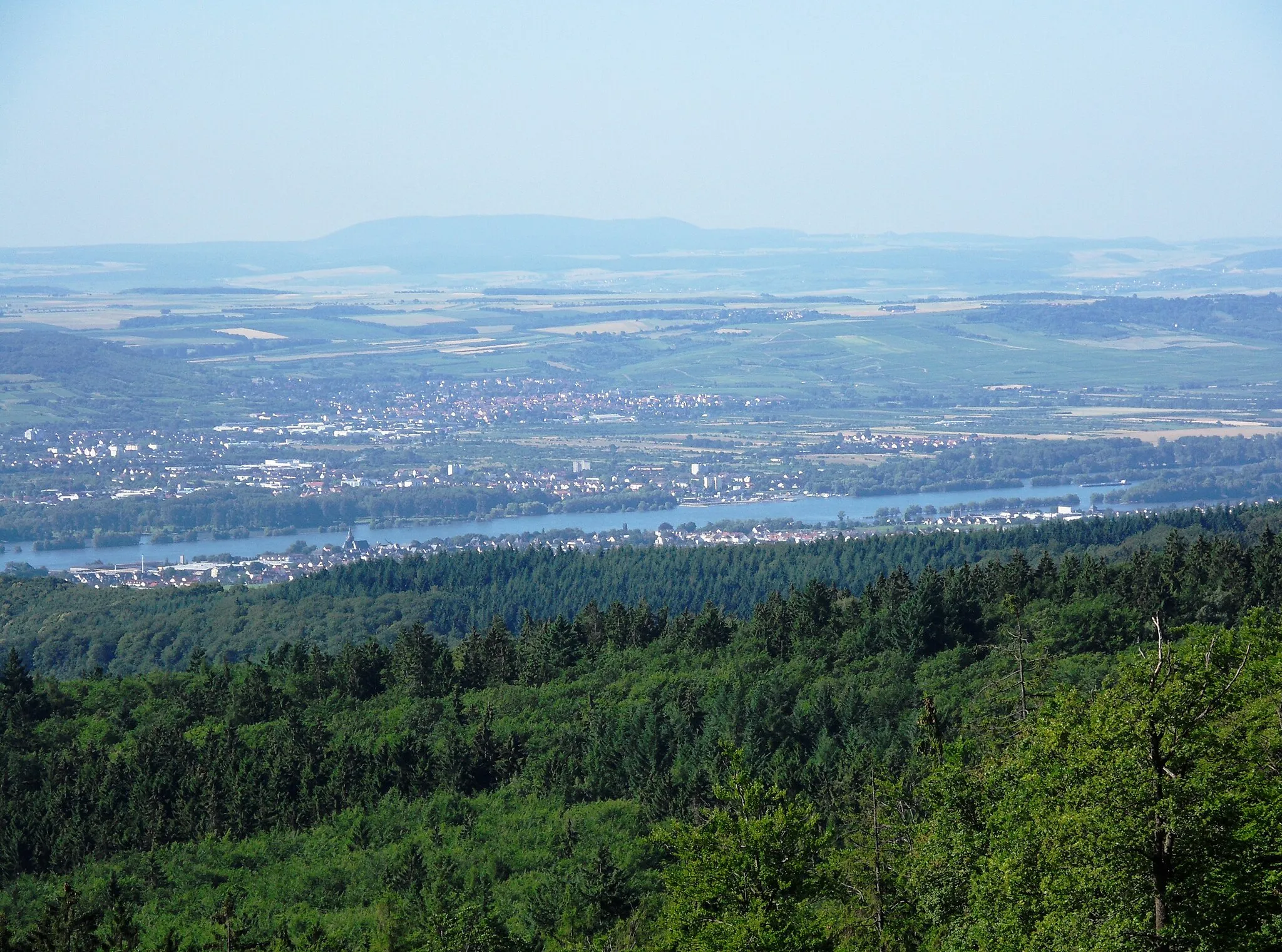 Photo showing: Blick von der Oberkante der Erddeponie östlich des Erbacher Kopfs (ca. 520 m) auf den vom Wald halb verdeckten Rheingauort Oestrich sowie Ingelheim auf der gegenüberliegenden Rheinseite; am Horizont der 50 km entfernte Donnersberg.
