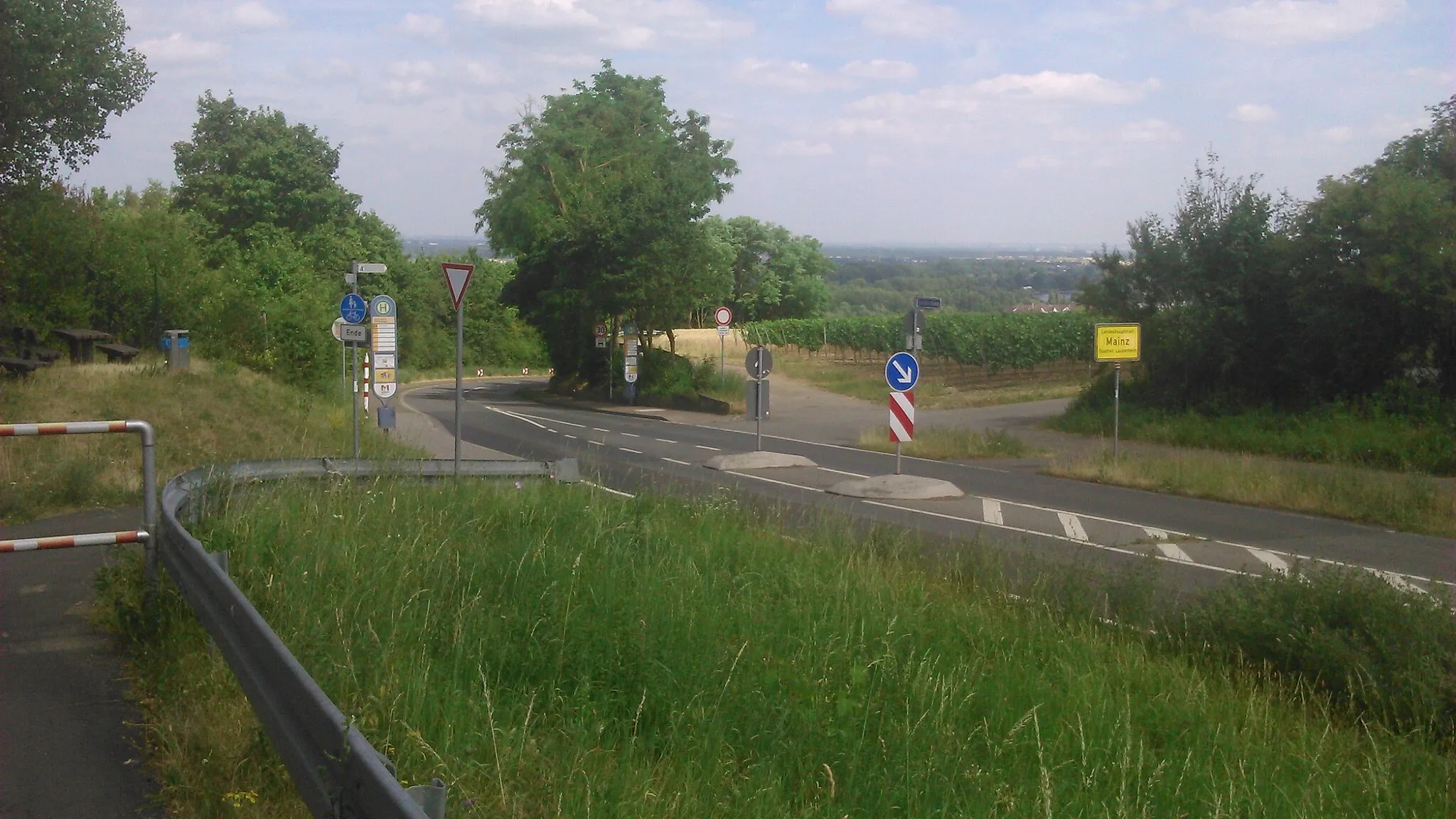 Photo showing: Einfahrt nach Mainz-Laubenheim aus Richtung Hechtsheim