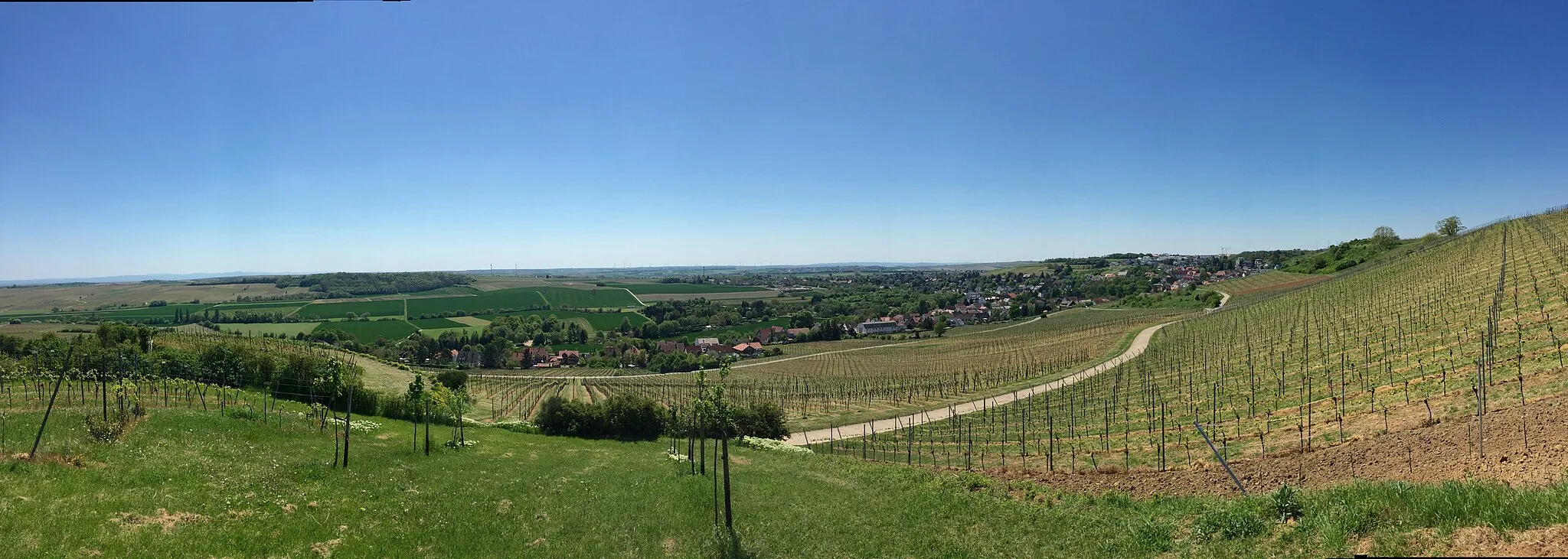 Photo showing: Panorama Gau-Bischofsheim
