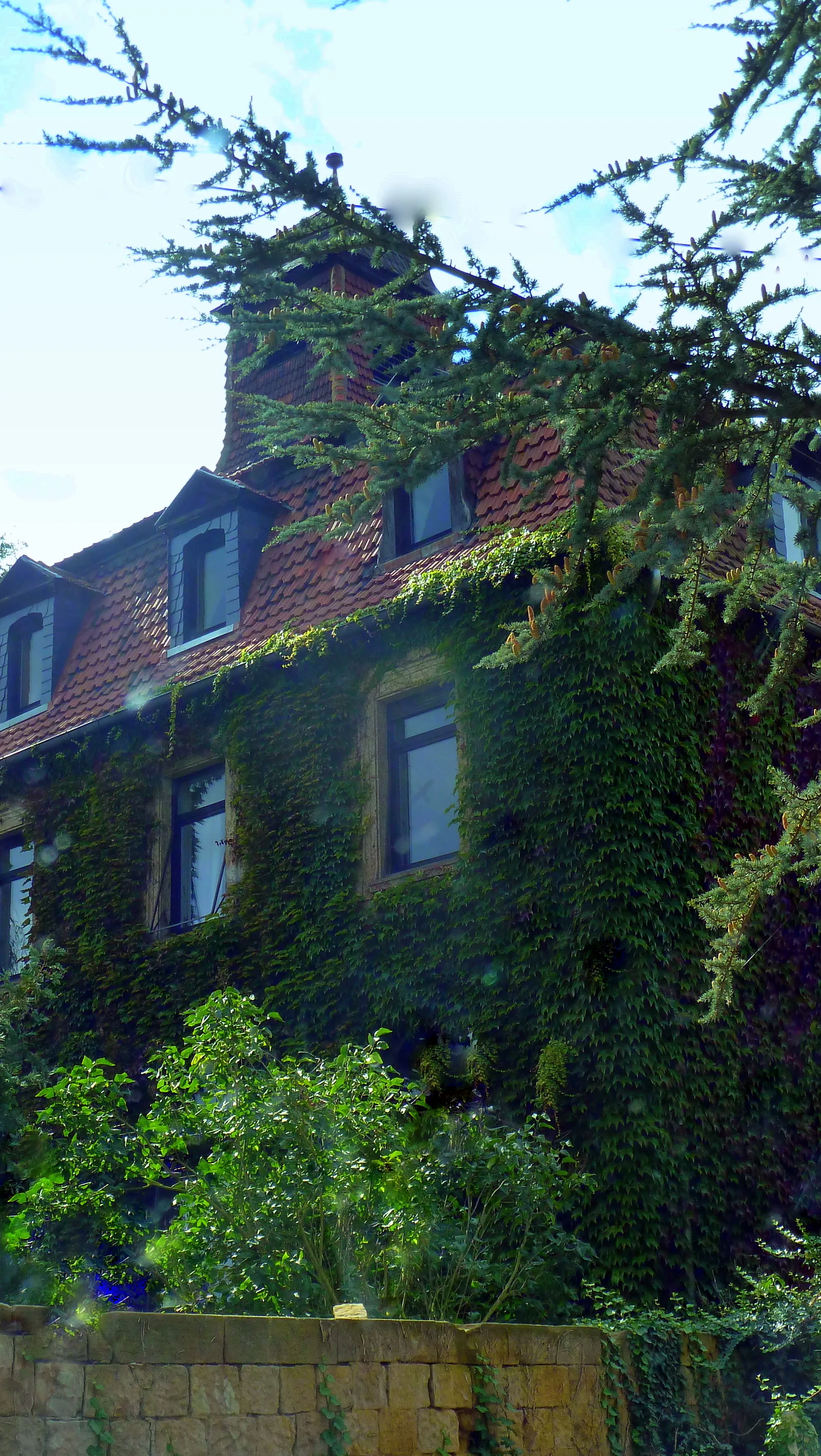Photo showing: Grünes Haus in Oberhausen an der Appel