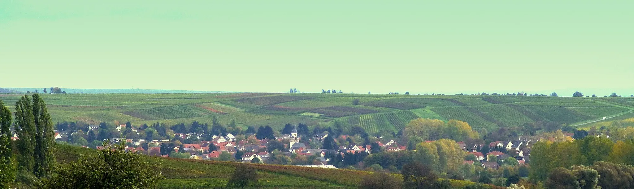 Photo showing: Rheinhessen - Saulheim
