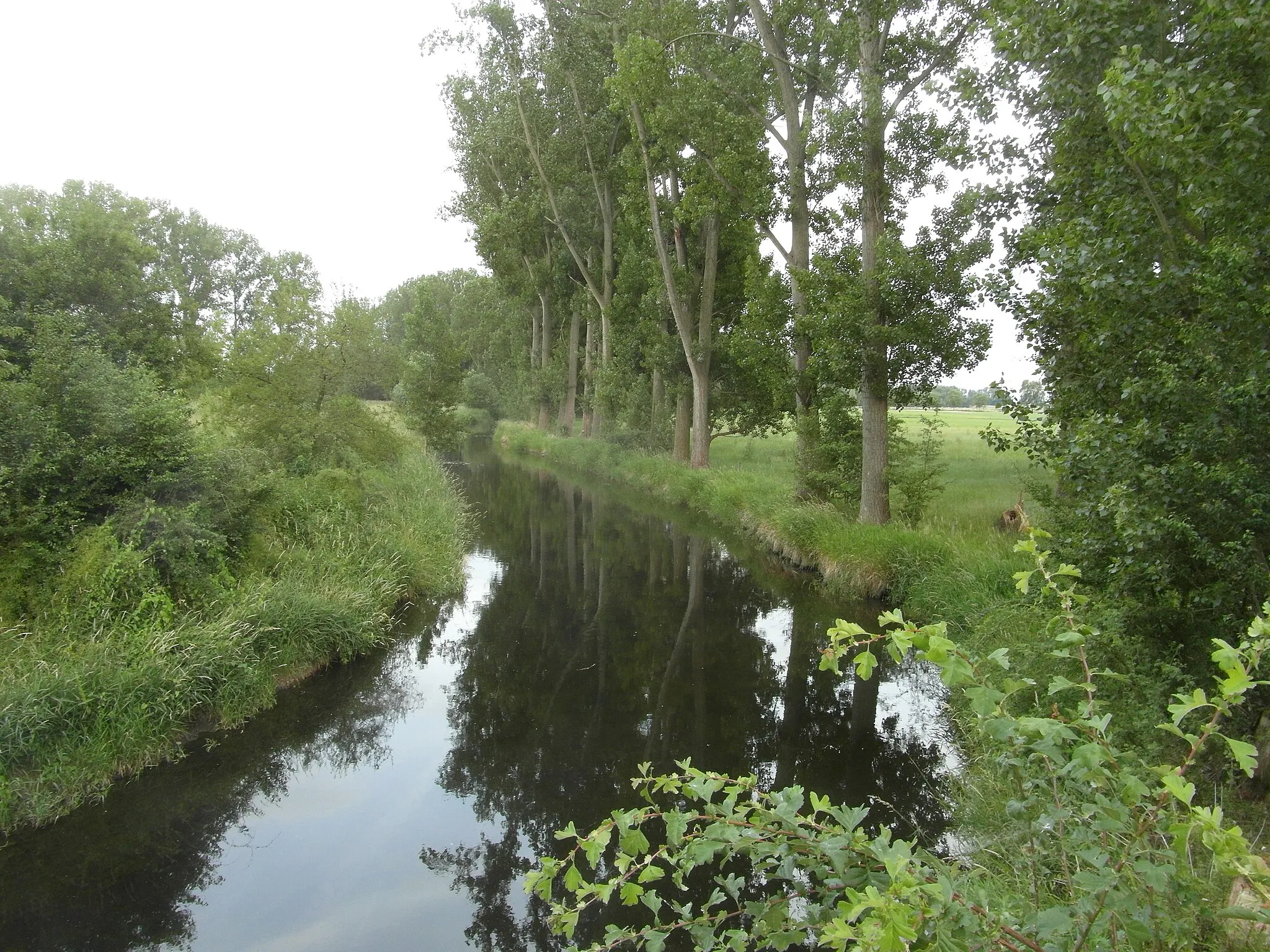 Photo showing: Canal in the Rhine Valley near Geinsheim, Germany