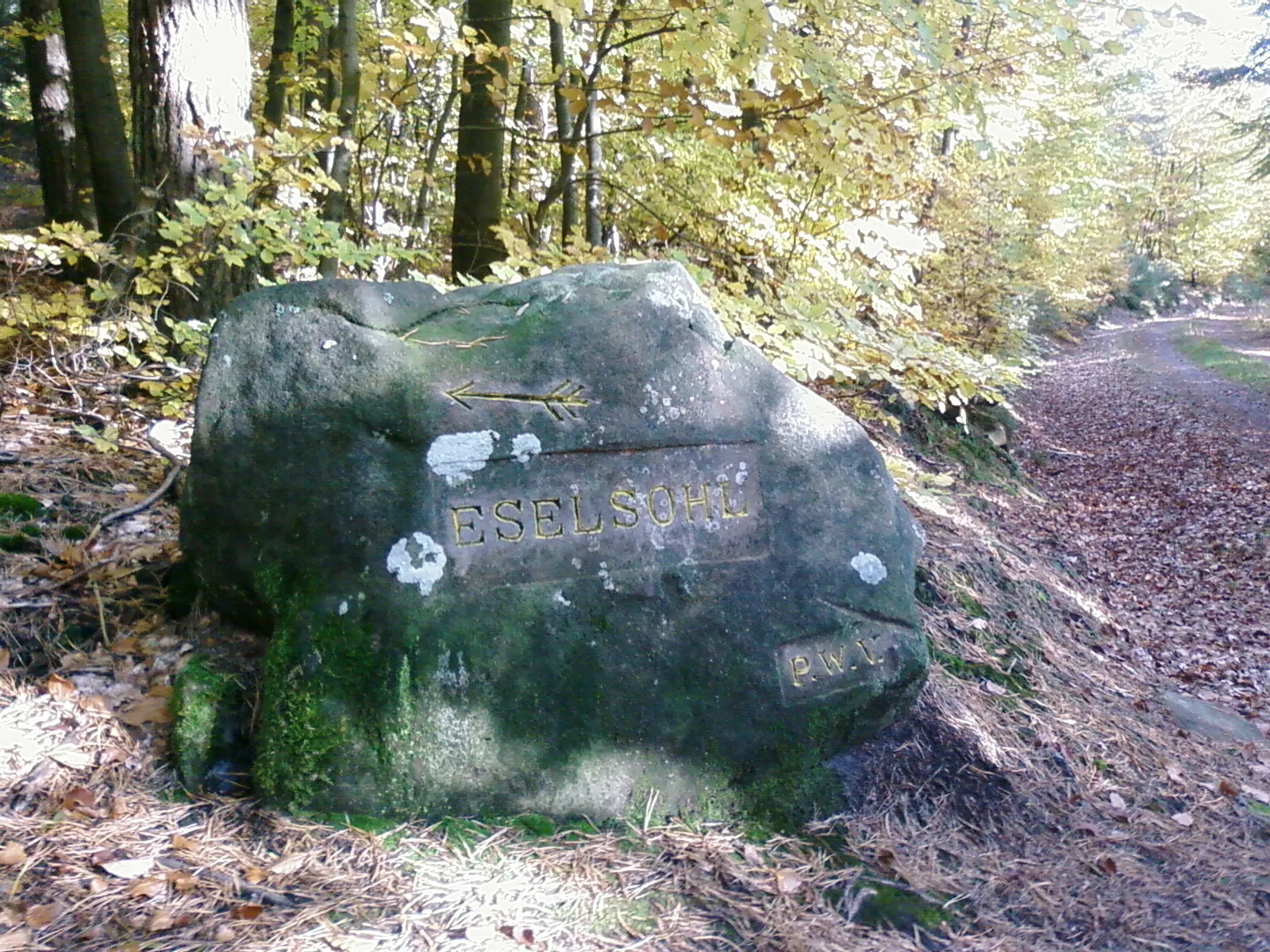 Photo showing: Ritterstein Eseslsohl, Position 49°24'15.31"N, 7°57'24.70"E