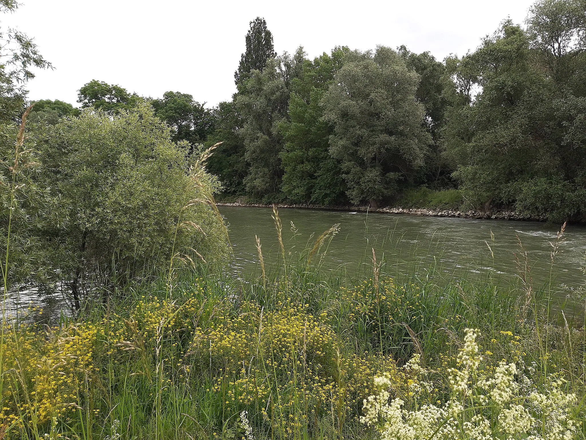 Photo showing: Hessenaue, Lercher Loch (old arm of Rhine)