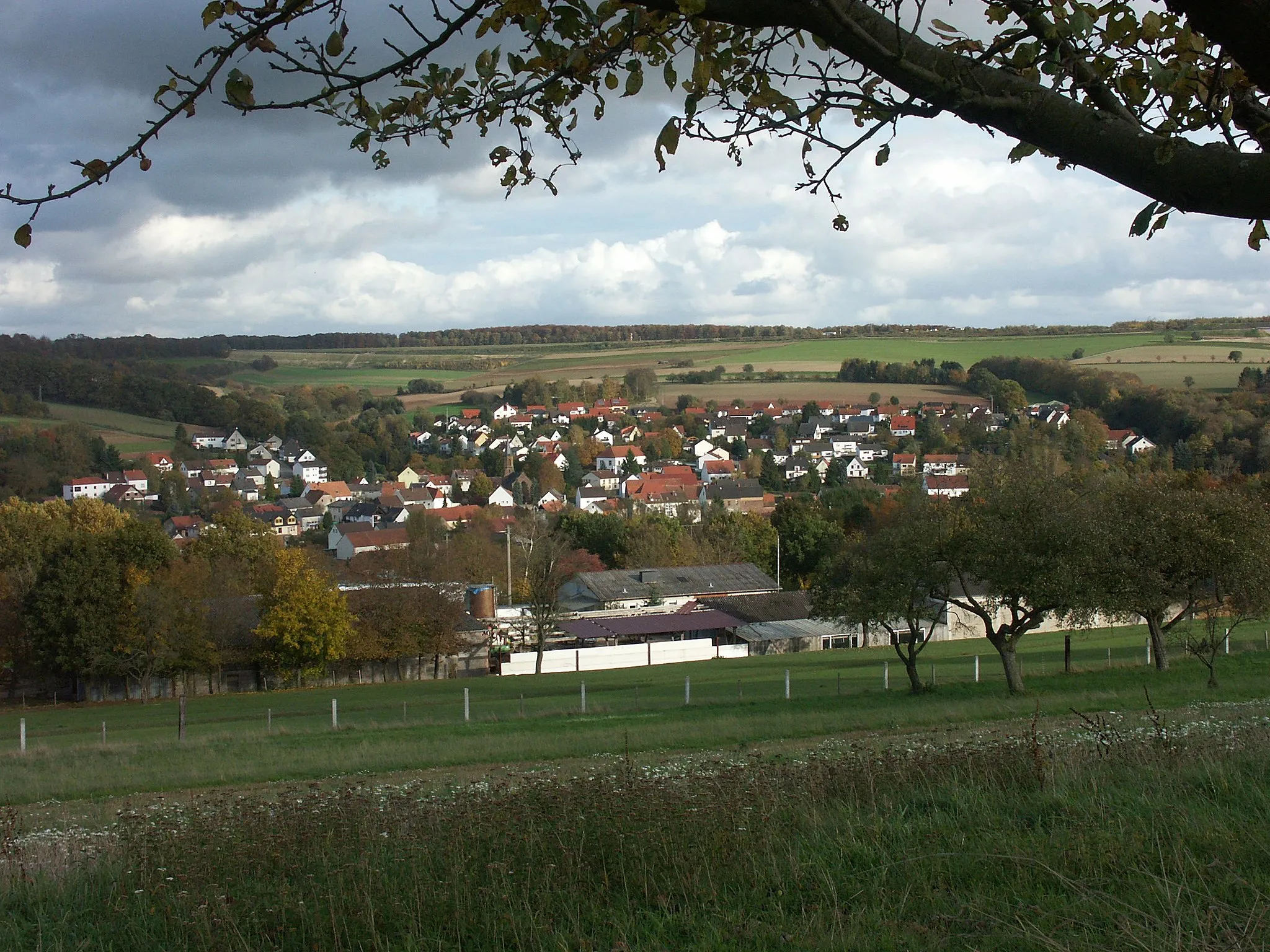 Photo showing: Althornbach Überblick