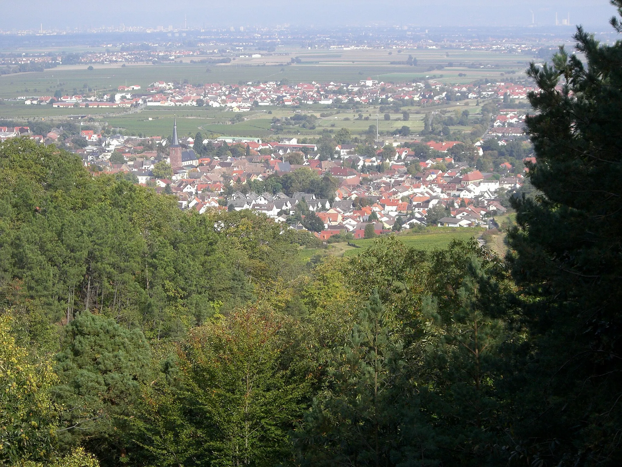 Photo showing: Deidesheim von Westen, dem Pfälzerwald gesehen