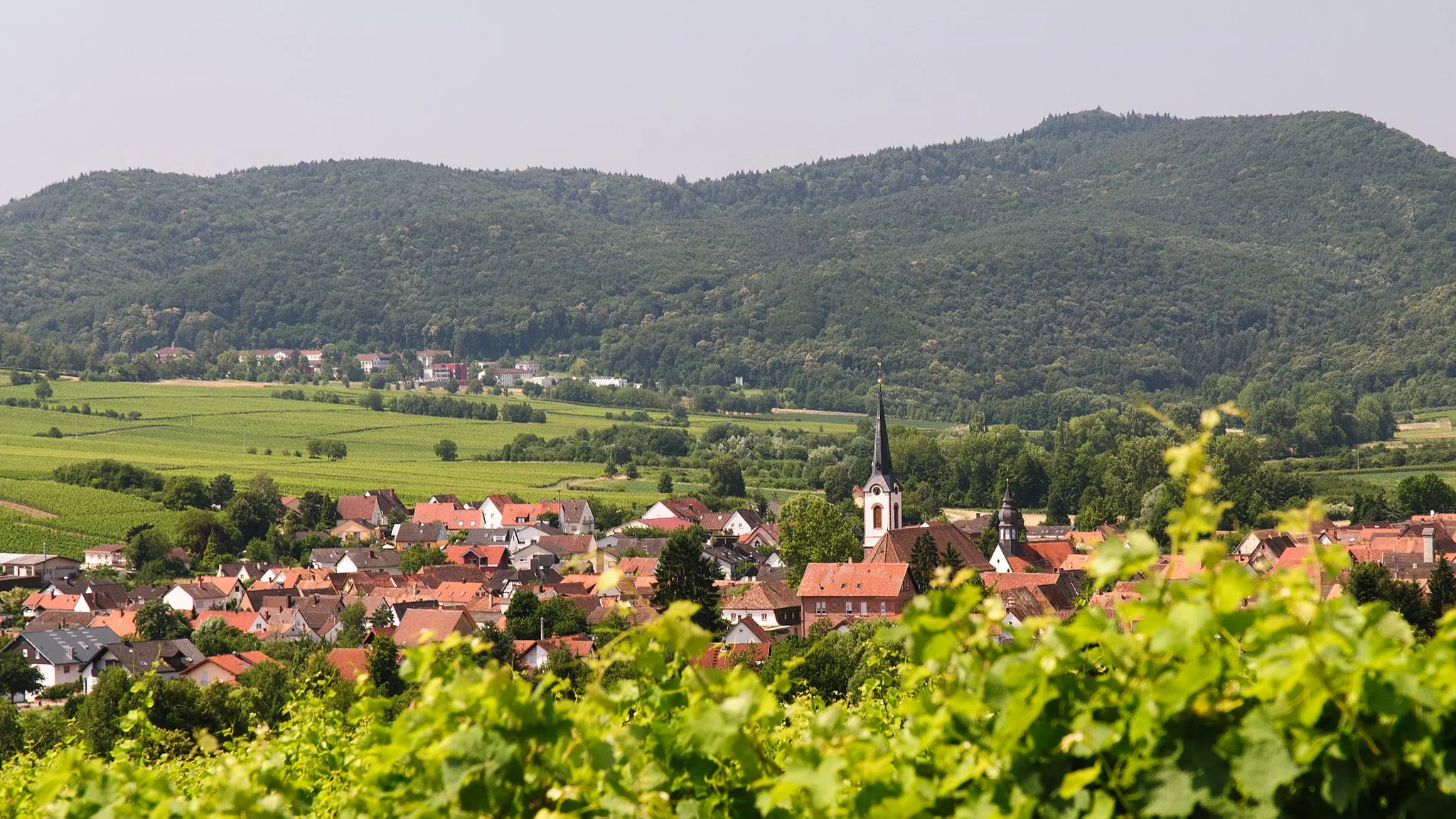 Photo showing: Ansicht von Osten bei der Anfahrt von Mörzheim über die Weinberge.