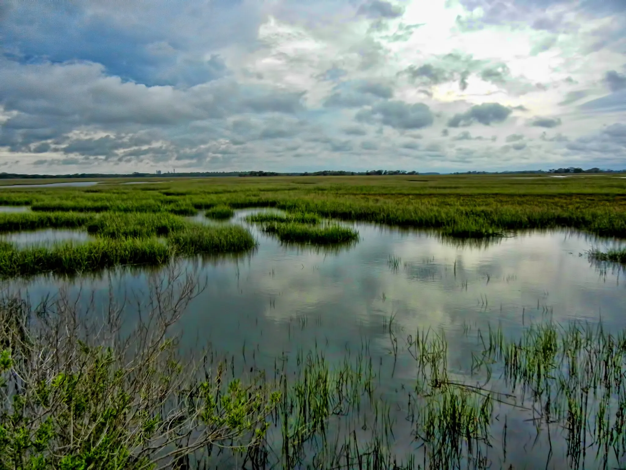 Photo showing: Cumberland Island Salt Marsh, Georgia, US