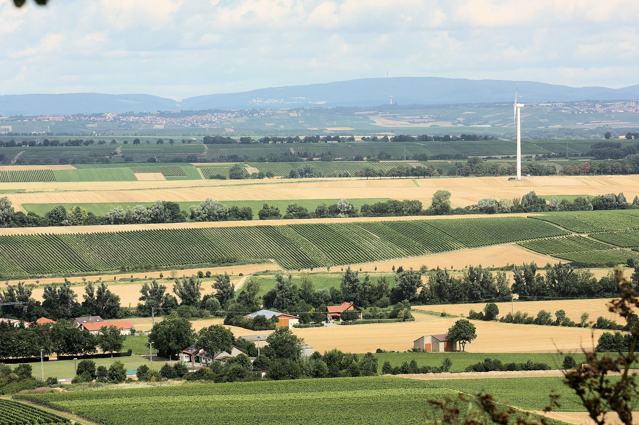 Photo showing: Petersberg (Rheinhessen), view northwards to the Taunus mountains