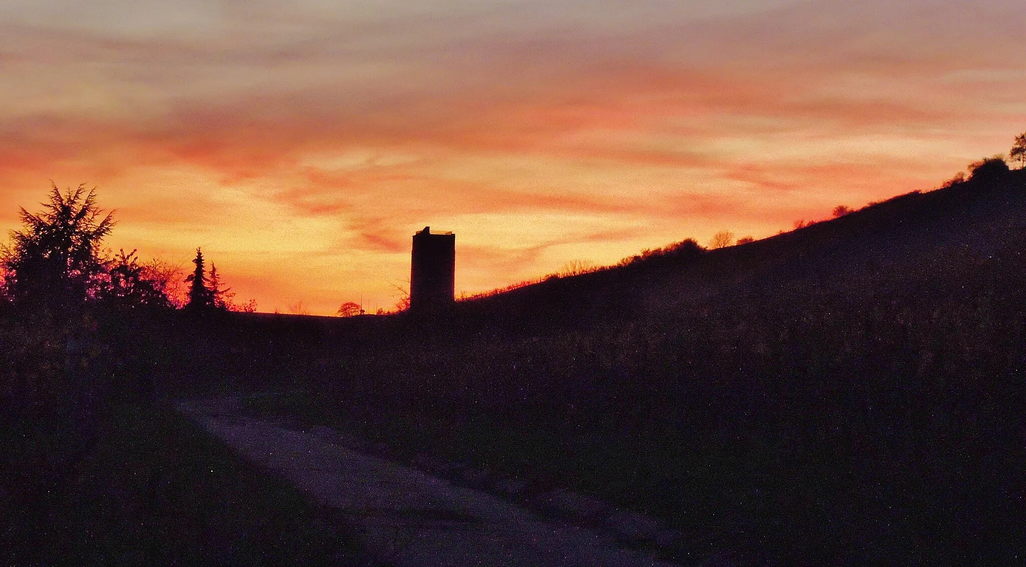 Photo showing: Die Schwabsburg im Sonnenuntergang vom Stadtrand Nierstein gesehen