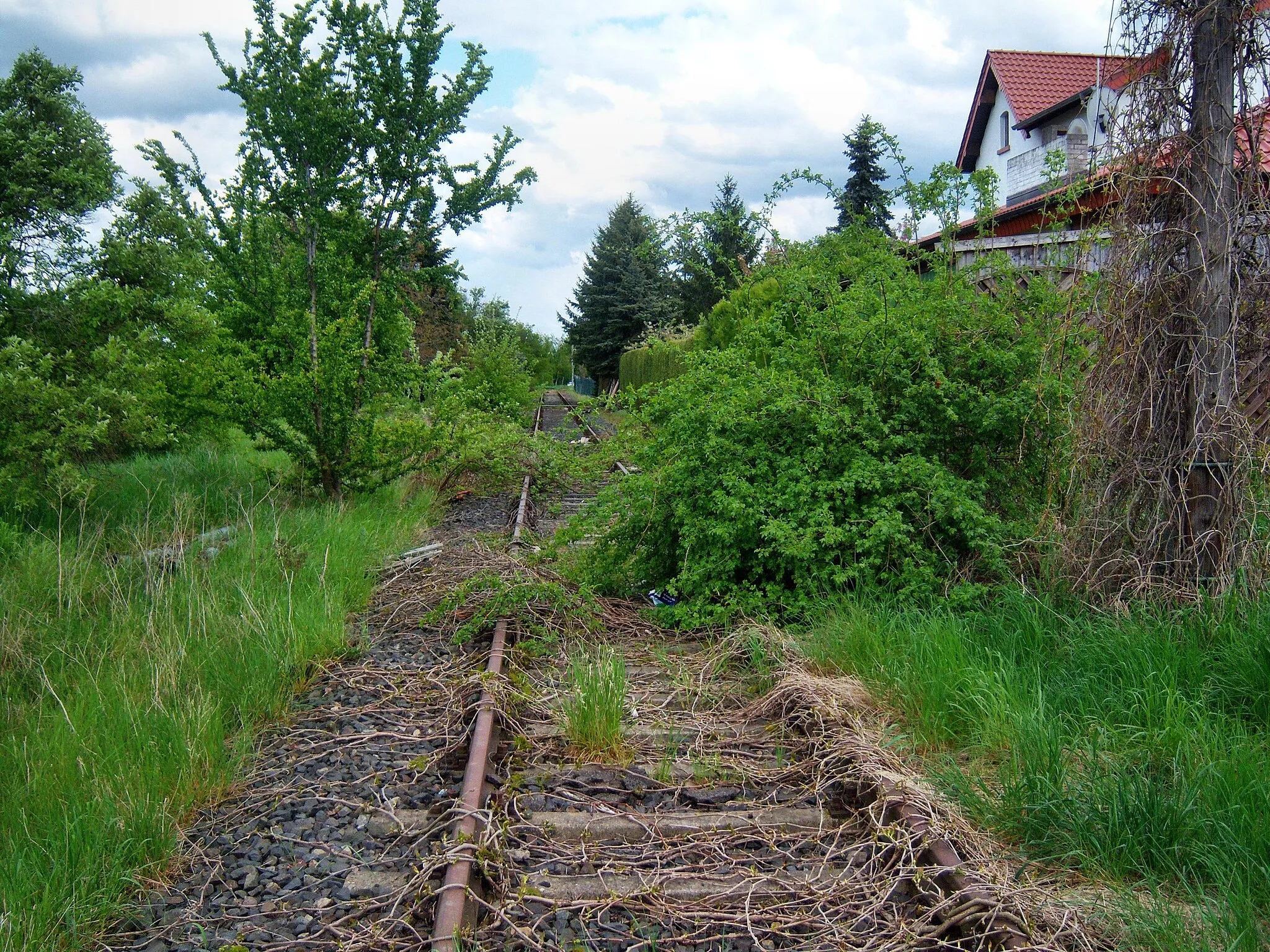 Photo showing: Gleise der Bahnstrecke Osthofen–Rheindürkheim–Guntersblum im alten Bahnhof des rheinhesssischen Gimbsheim (Blickrichtung Osthofen) in Rheinland-Pfalz (Deutschland)