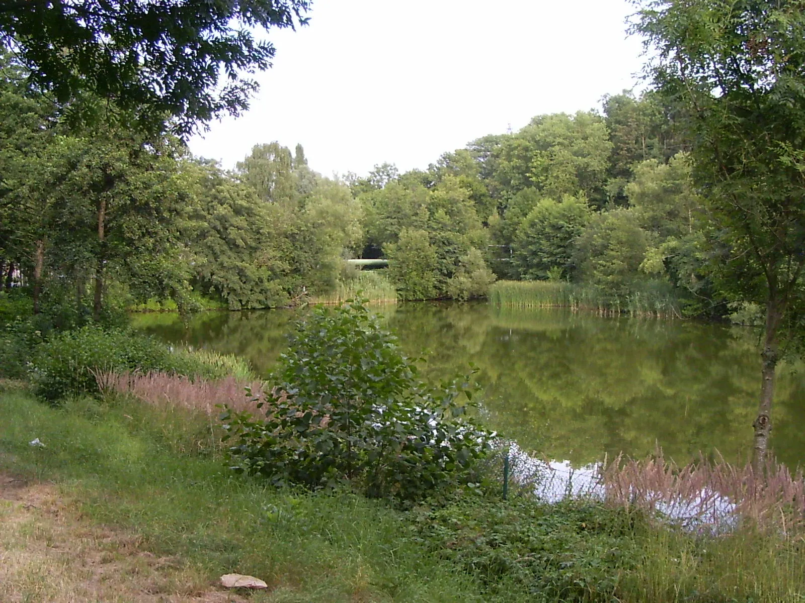 Photo showing: Park Pond in Neunkirchen (Saar). Part of the estate of the steel plant owner.