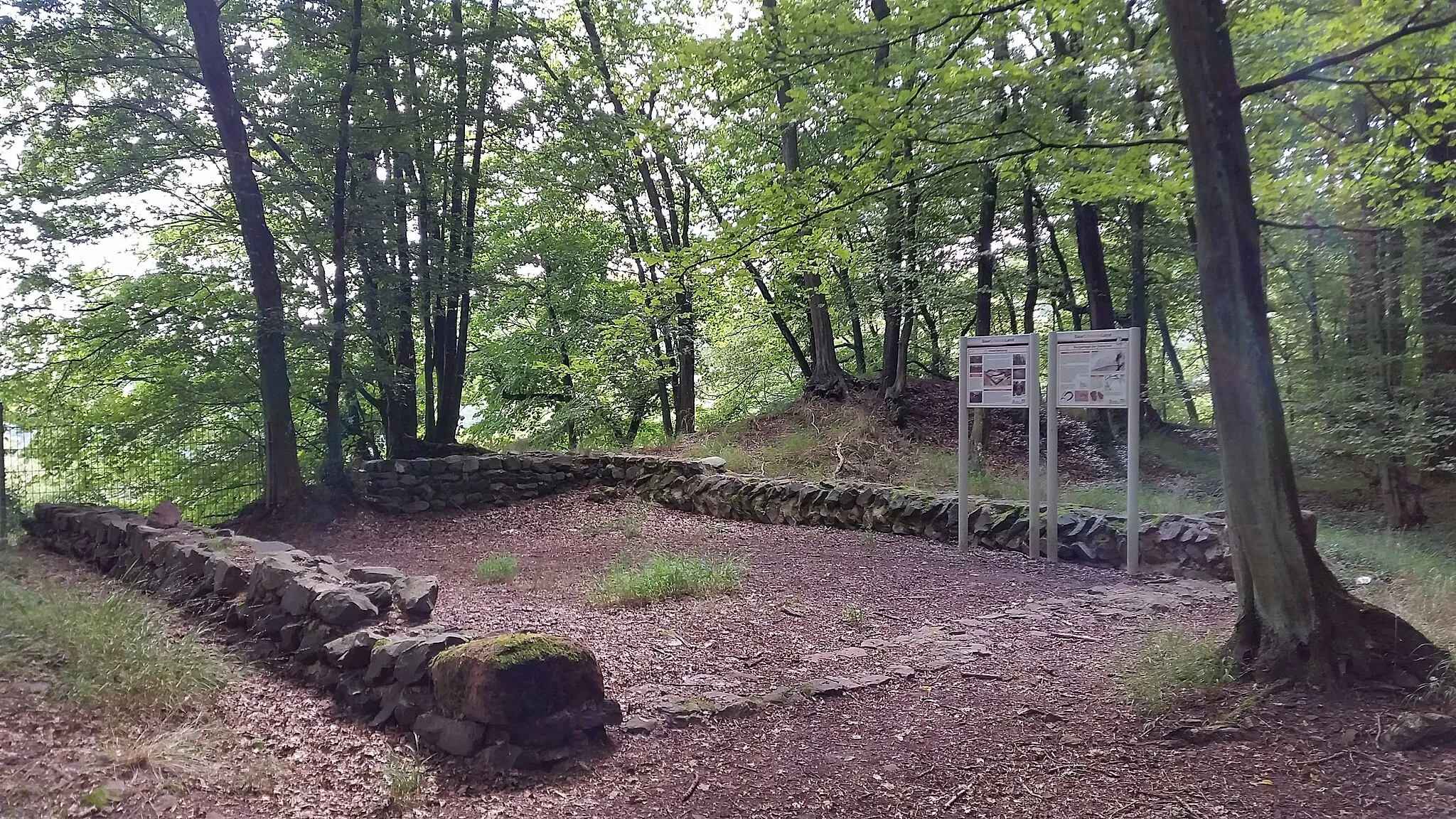 Photo showing: Die Birg bei Schmelz-Limbach ist eine keltische Wallanlage nördlich des großen Horstes.