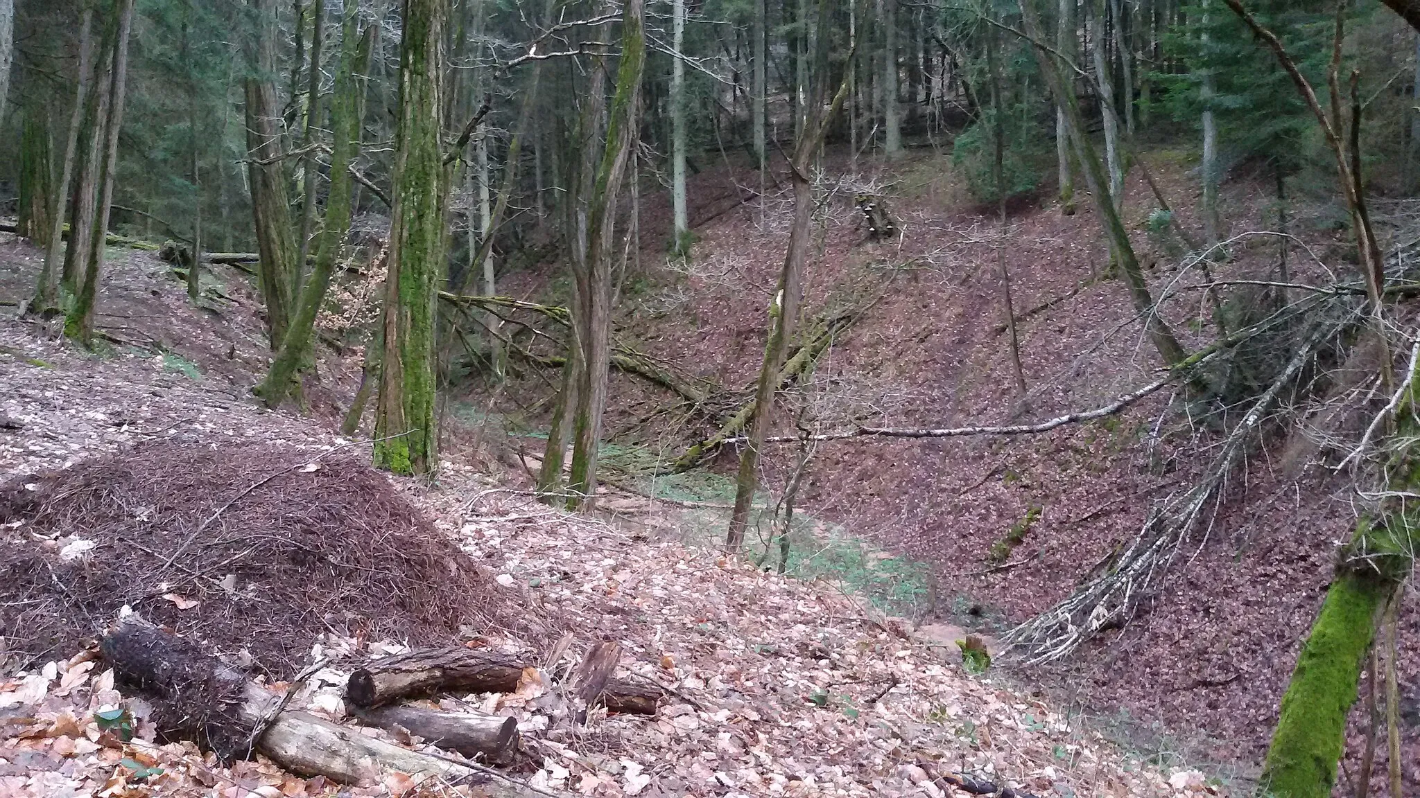 Photo showing: Schlucht nahe Marhof