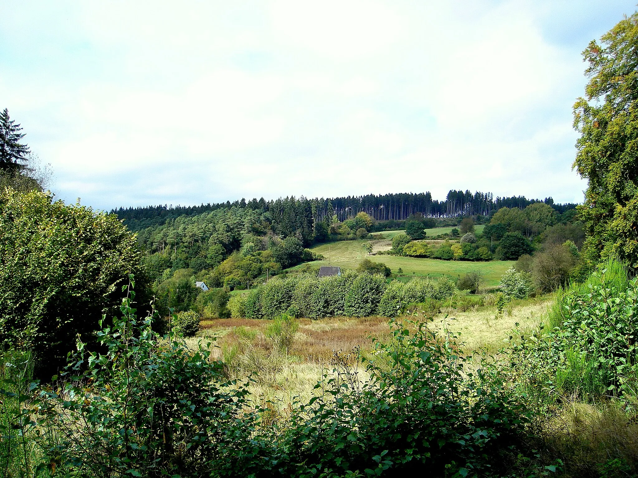 Photo showing: In Longkamperhinterbach, Ortsbezirk Gonzerath, Gemeinde Morbach