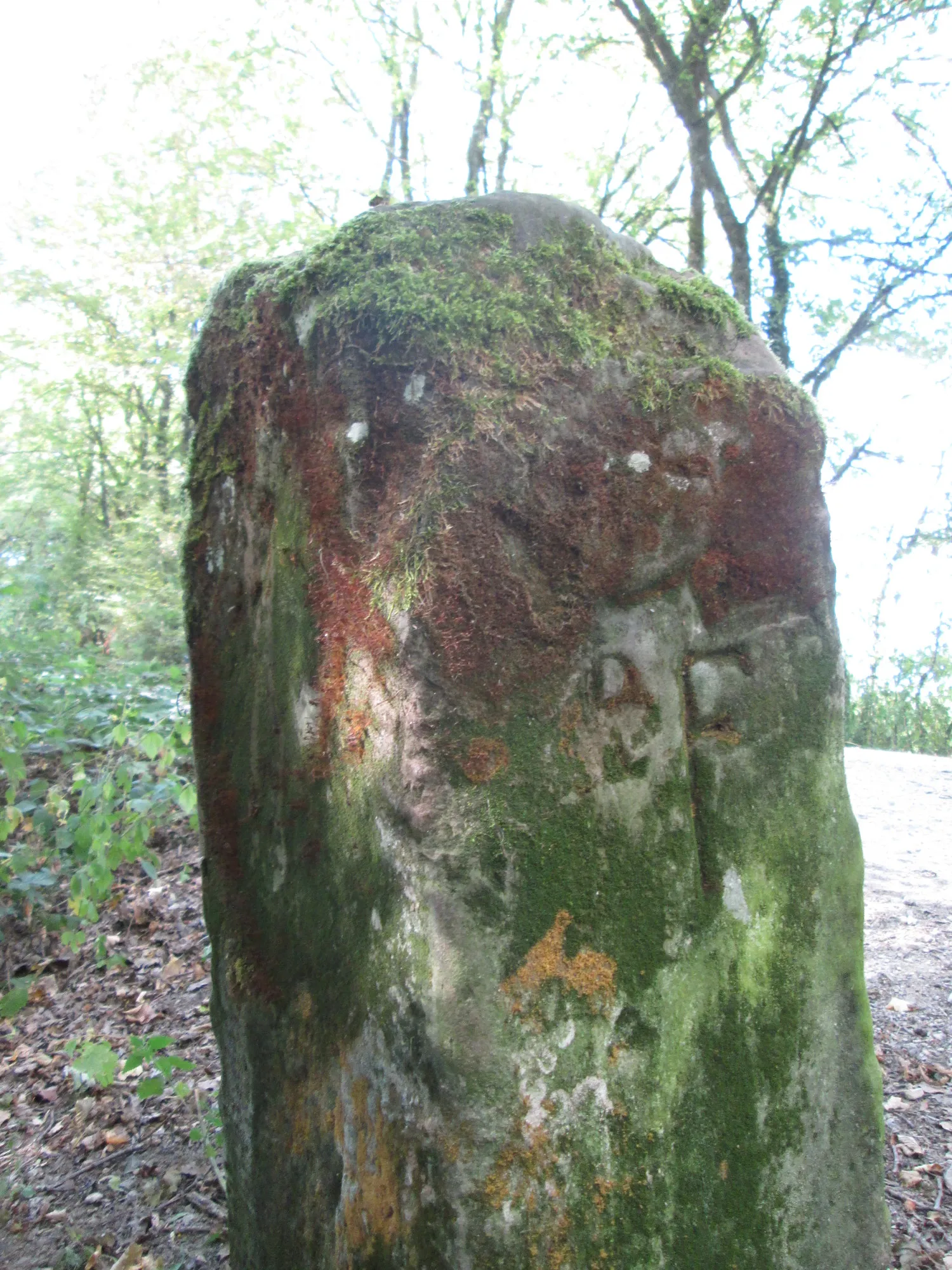 Photo showing: Grenzstein im Wald bei Bübingen