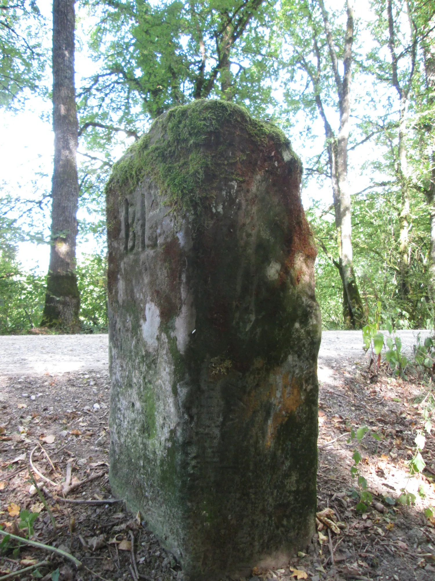 Photo showing: Grenzstein im Wald bei Bübingen