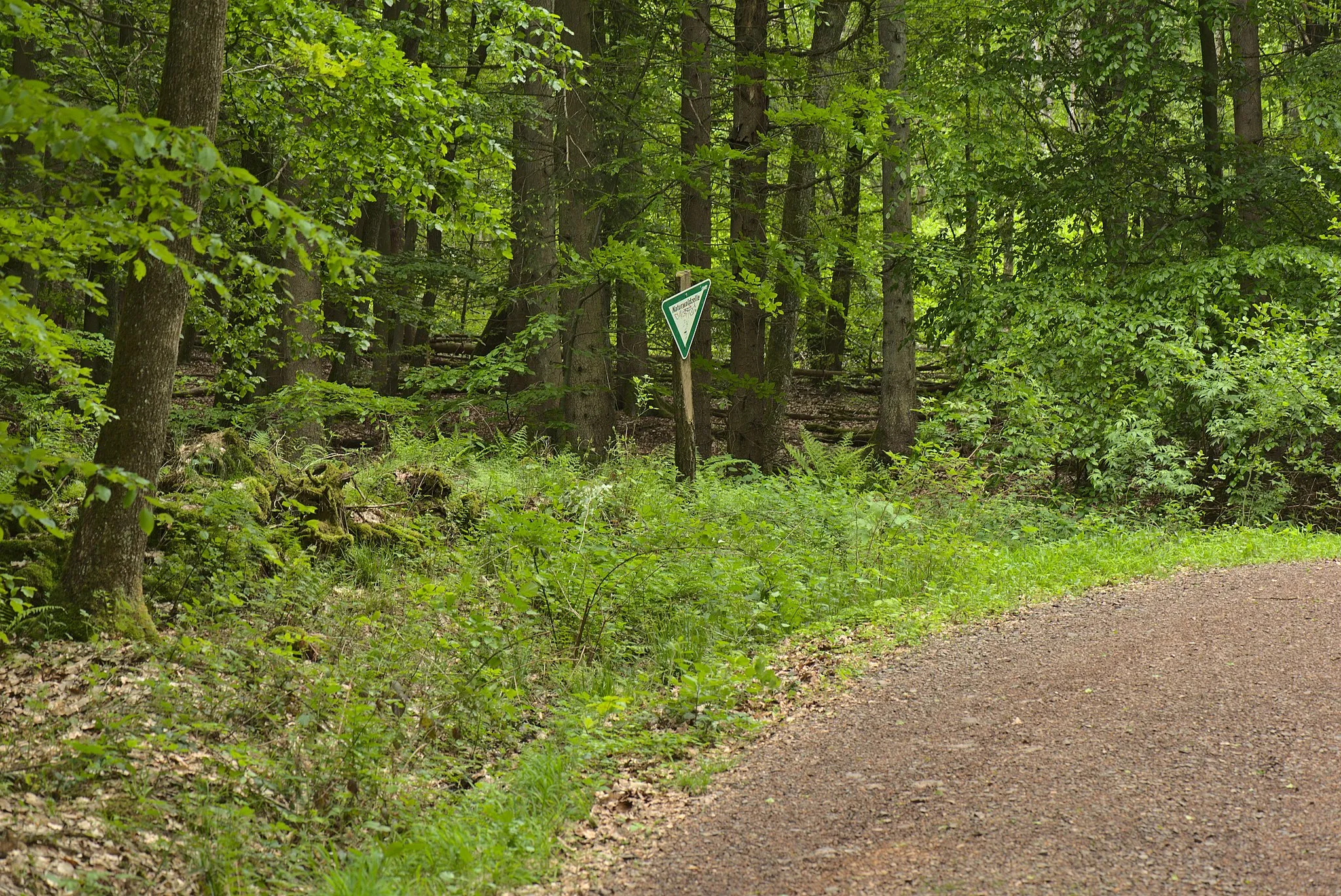 Photo showing: Ein Eingang von einem Waldweg zu dem Naturschutzgebiet Heidhübel in Saarbrücken-Burbach.