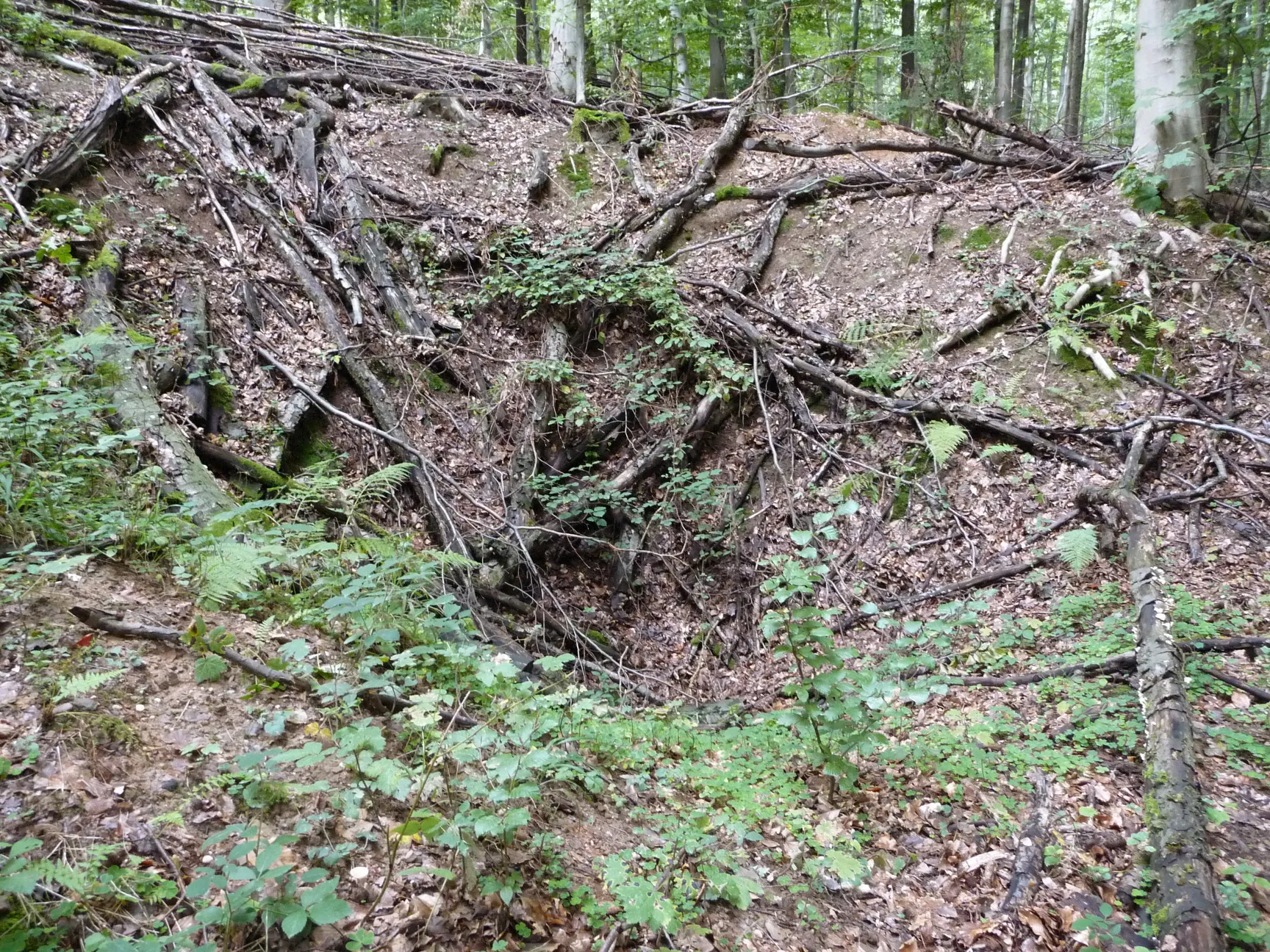 Photo showing: Tiefer, steiler Sackkrater des Wetterschachtes Nr. 7 der Grube Gerhard, Nähe Pfaffenkopf.