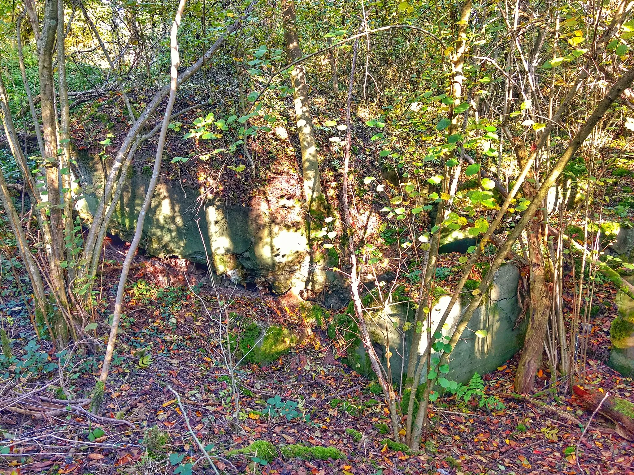 Photo showing: Bunker bei Merzig