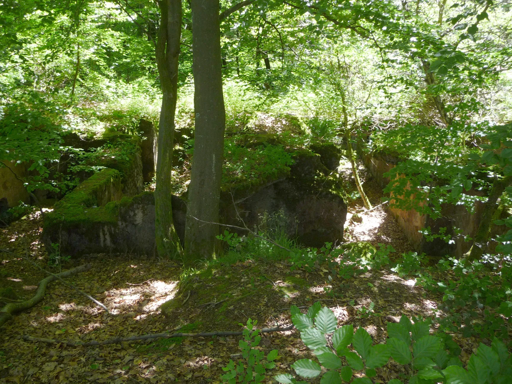 Photo showing: Ruine des Maschinenhauses beim Wilhelmineschacht