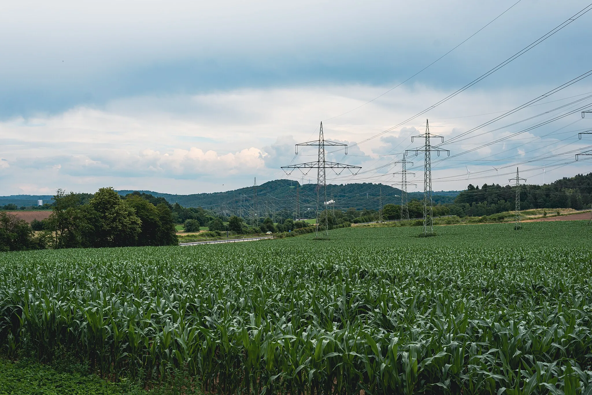 Photo showing: Blick über ein Feld im Landschaftschutzgebiet Gackelsberg und Hirschberg suedllich von Limbach.