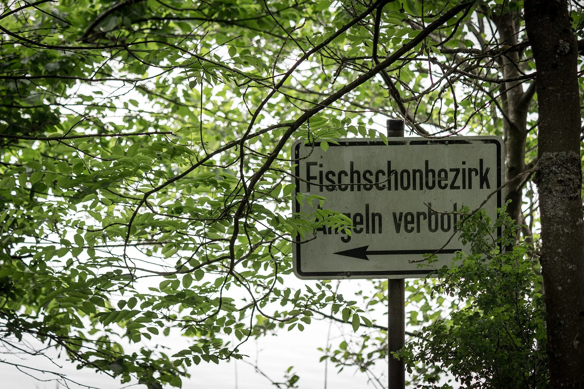 Photo showing: Schild „Fischschonbezirk Angeln verboten“ im NSG Bostalsee; Naturpark Saar-Hunsrück im Saarland