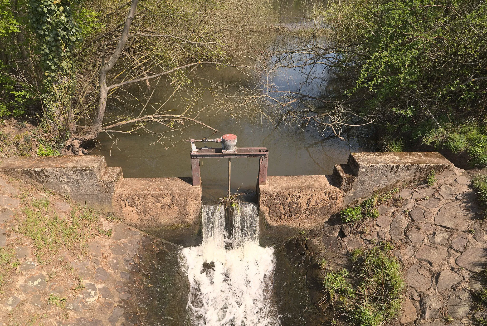 Photo showing: Ein kleiner Staudamm am Kondeler Bach im Landschaftsschutzgebietes Altarme der Saar in Beckingen.