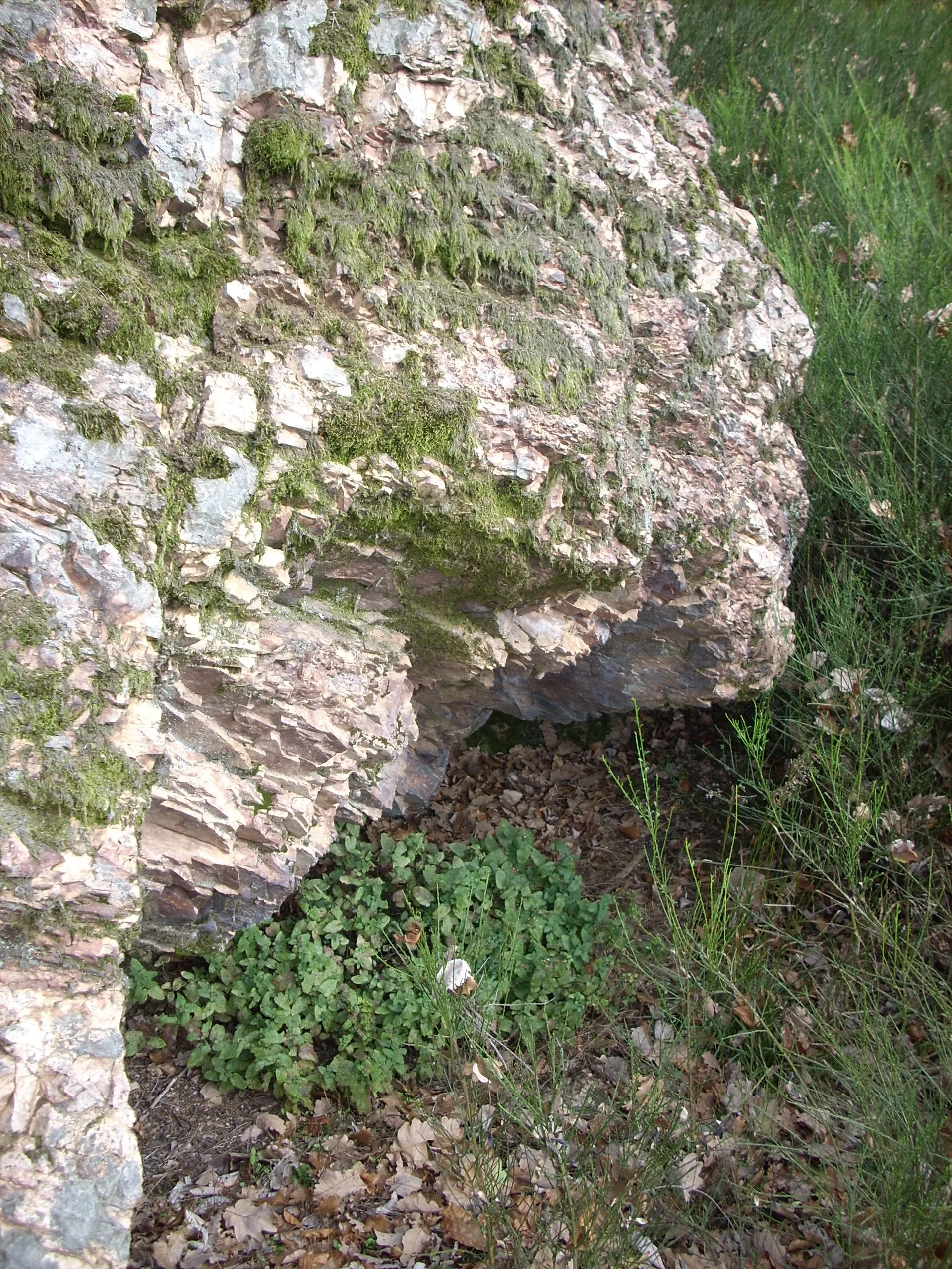 Photo showing: Teufelskanzel bei Oberthal (Saar)