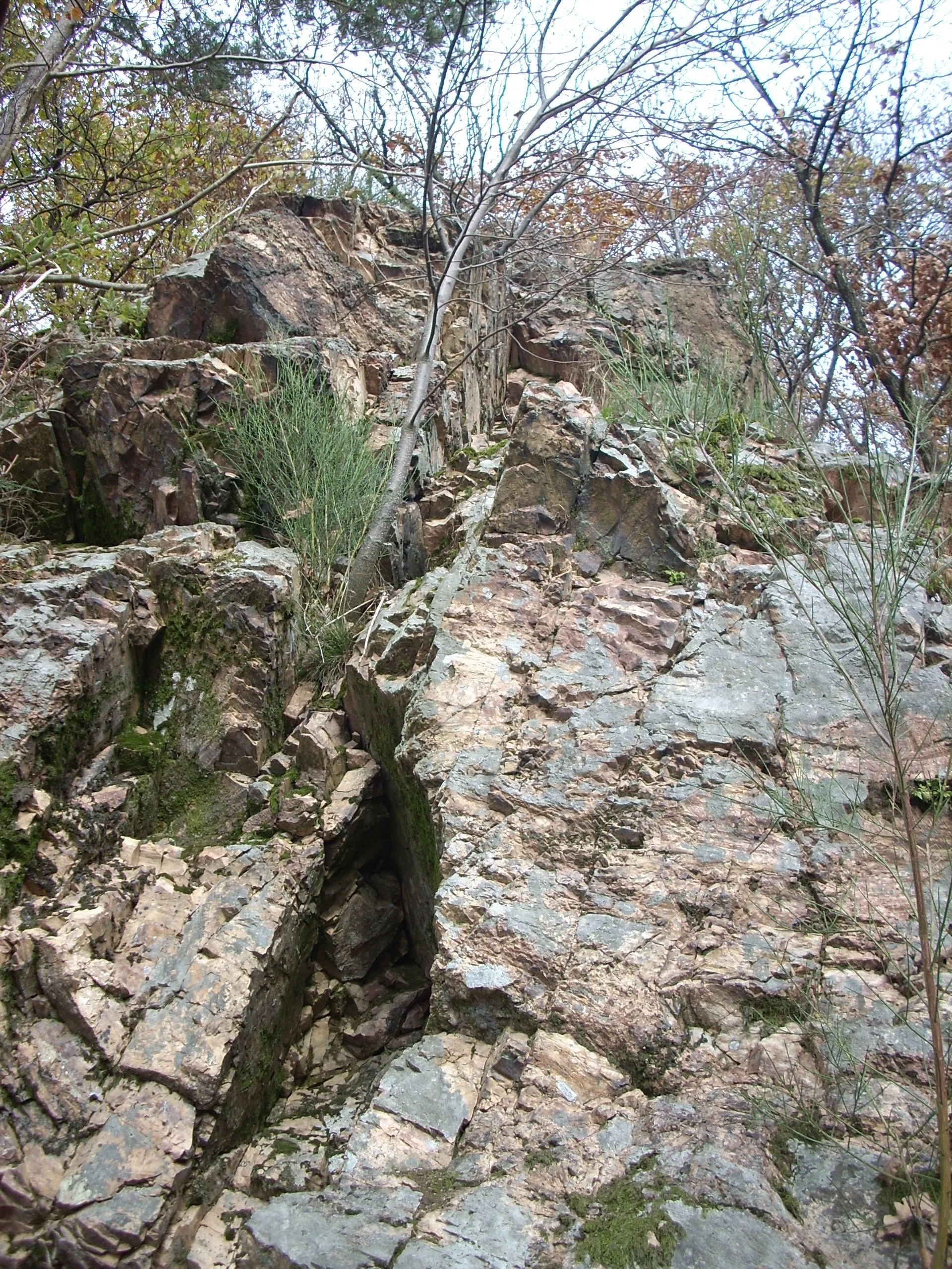 Photo showing: Teufelskanzel bei Oberthal (Saar)