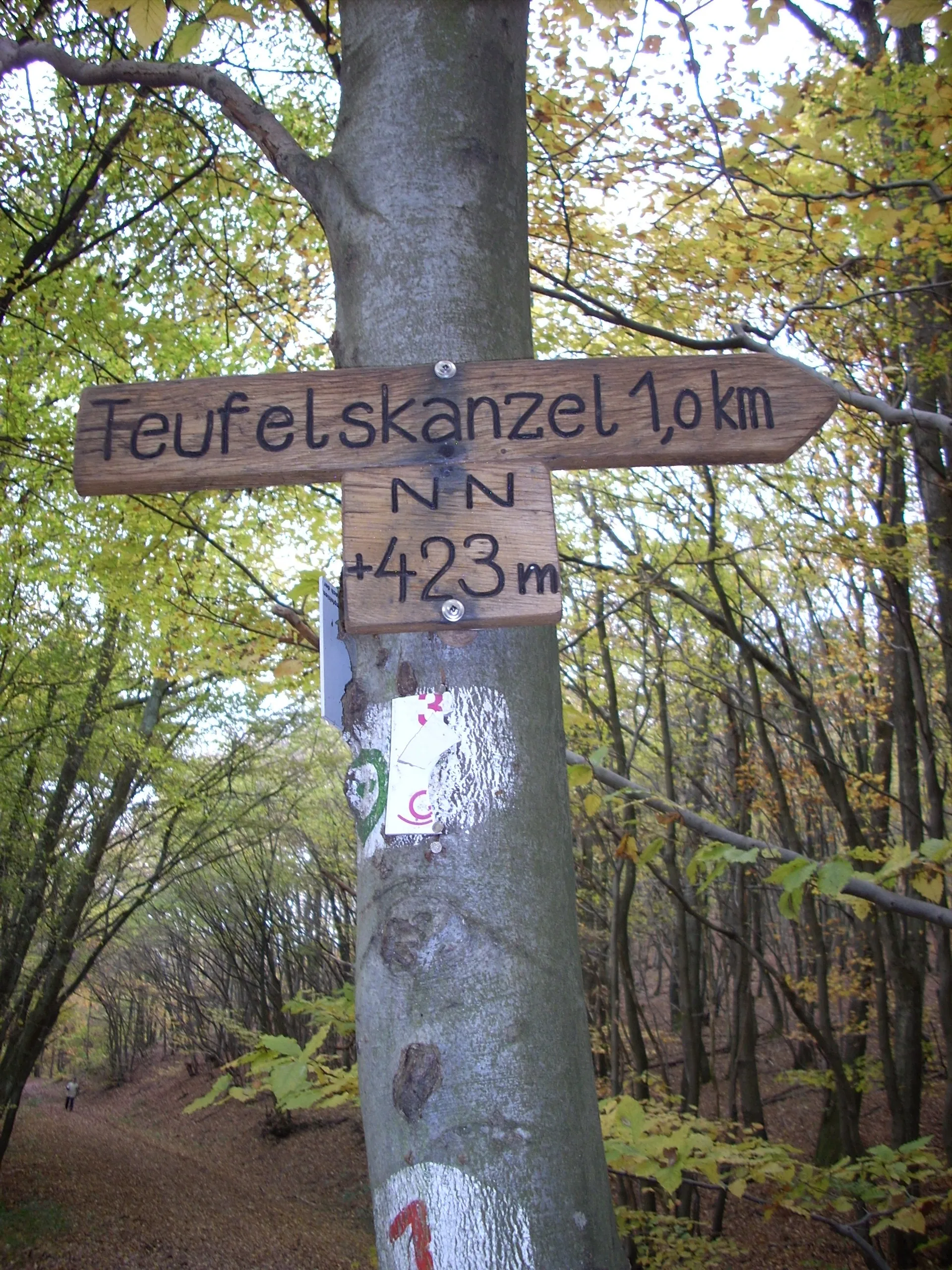 Photo showing: Wegweiser zur Teufelskanzel bei Oberthal (Saar)