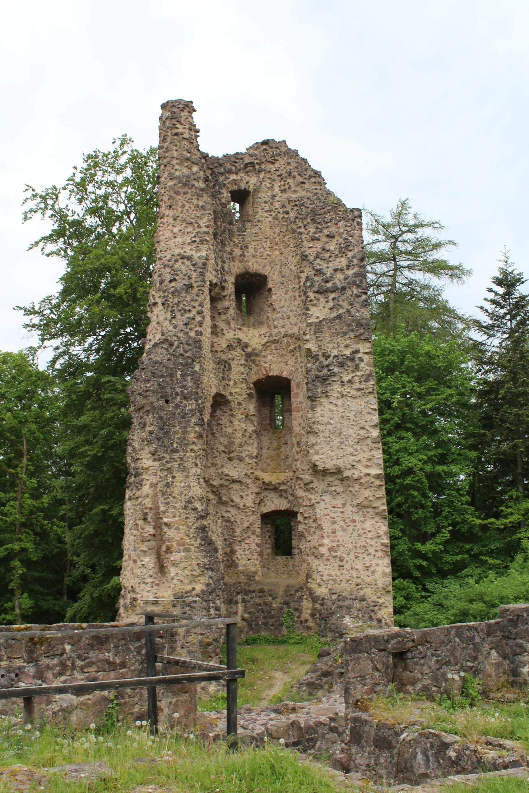 Photo showing: Ruined castle Dagstuhl