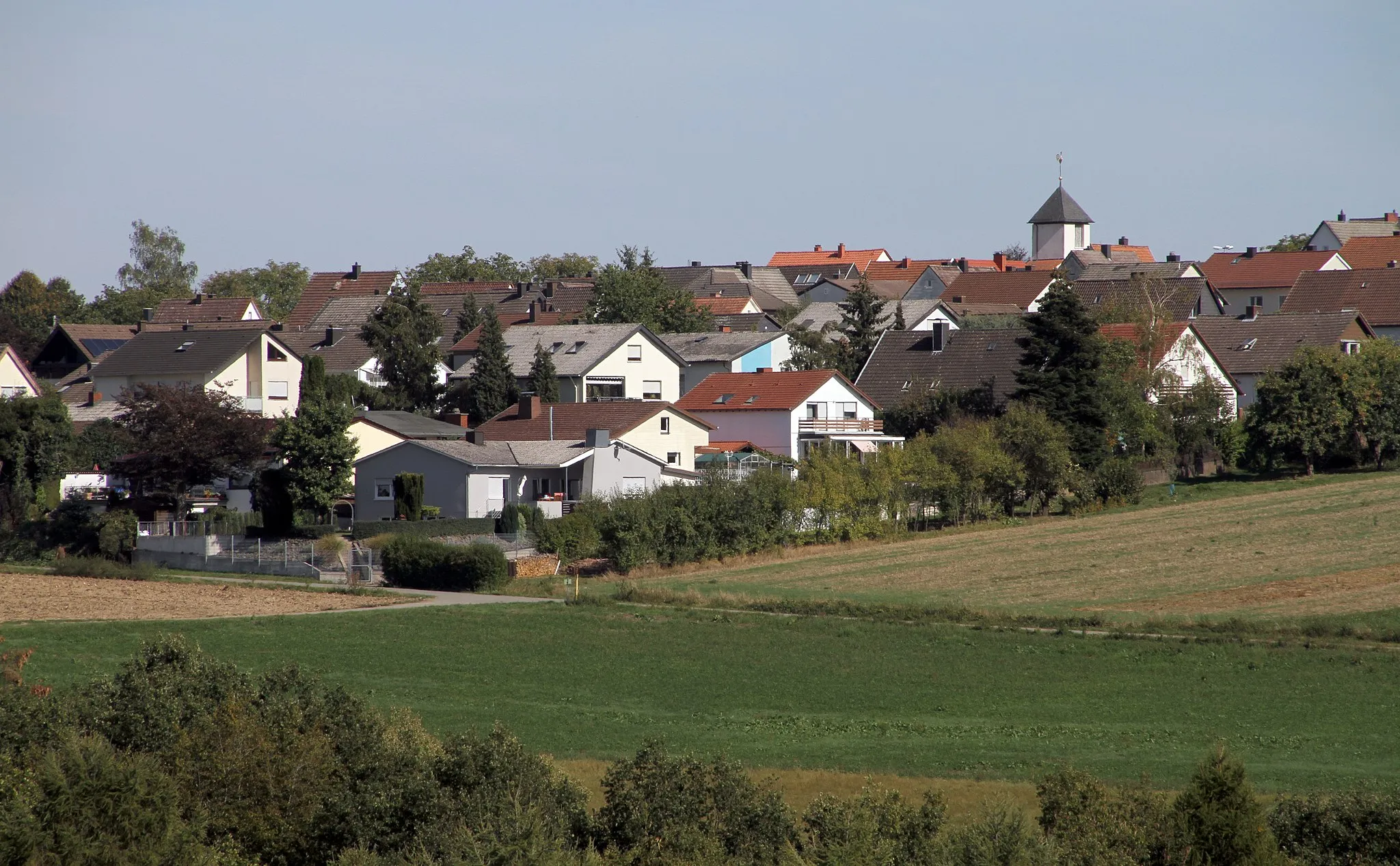 Photo showing: Höhfröschen