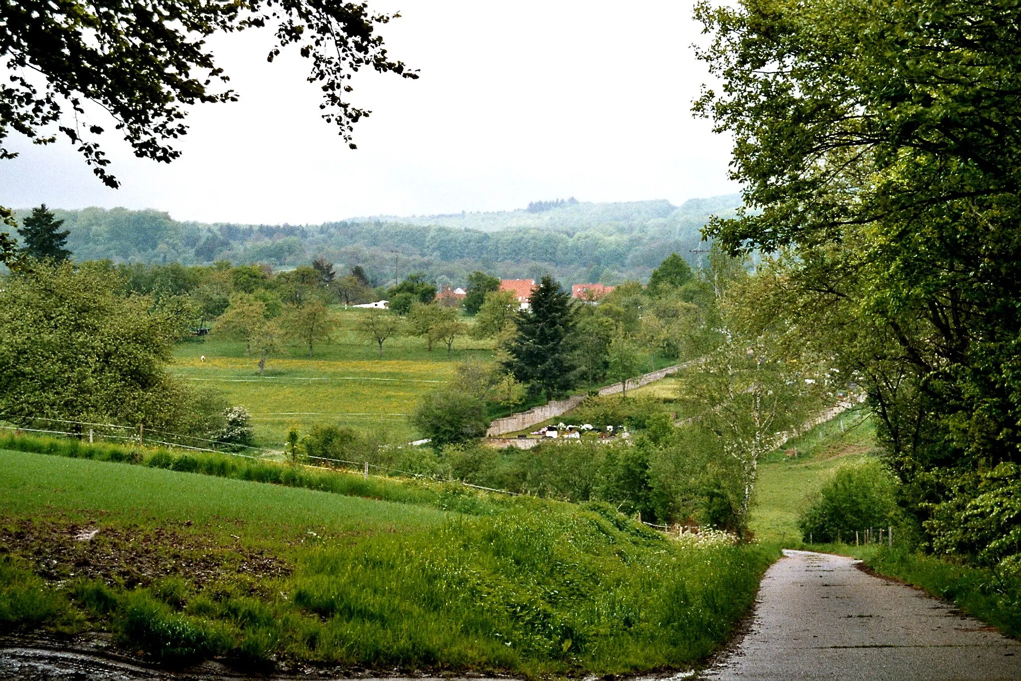 Photo showing: Frohnhofen, view to the village