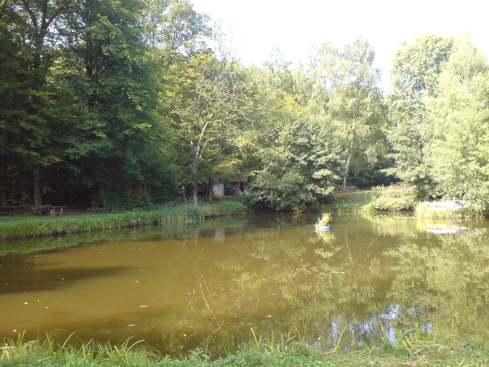 Photo showing: Der kliene Entenweiher in Frohnhofen.