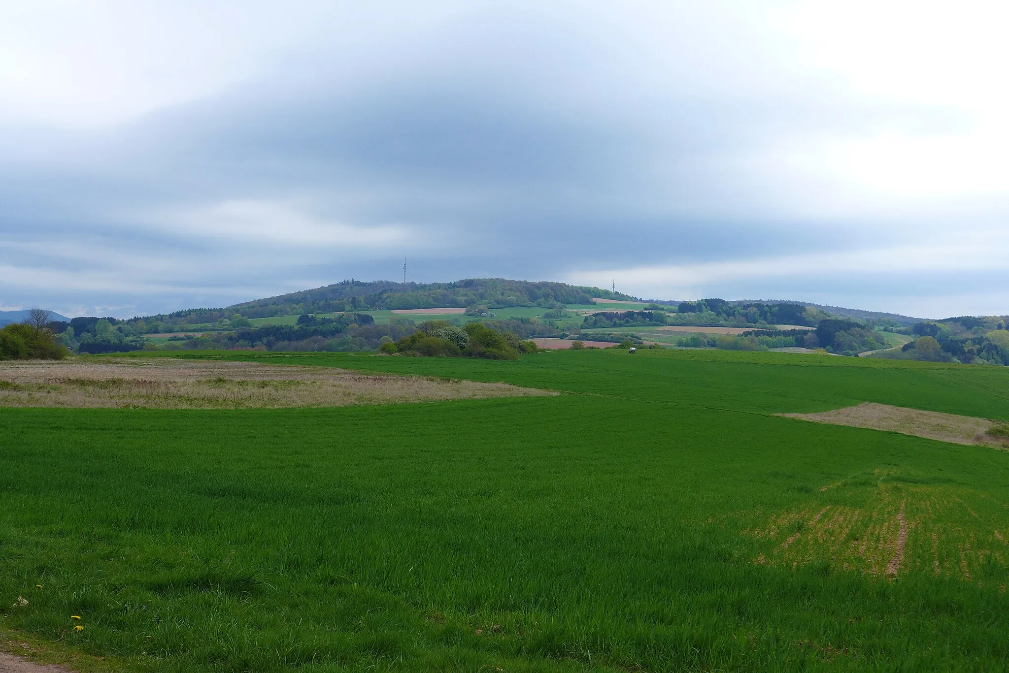 Photo showing: Blick vom Bilsdorfer Steinberg auf den Hoxberg