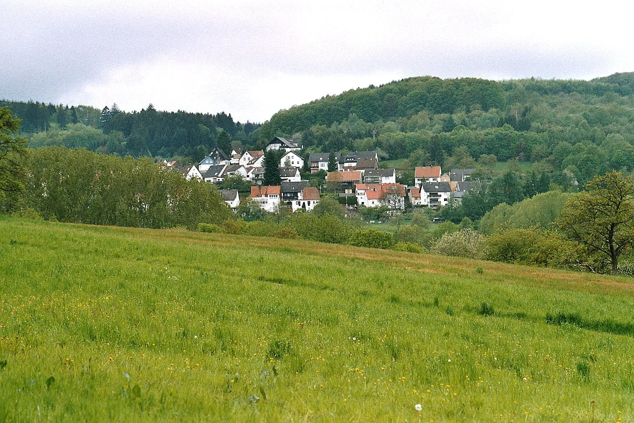 Photo showing: Dunzweiler, view to the village