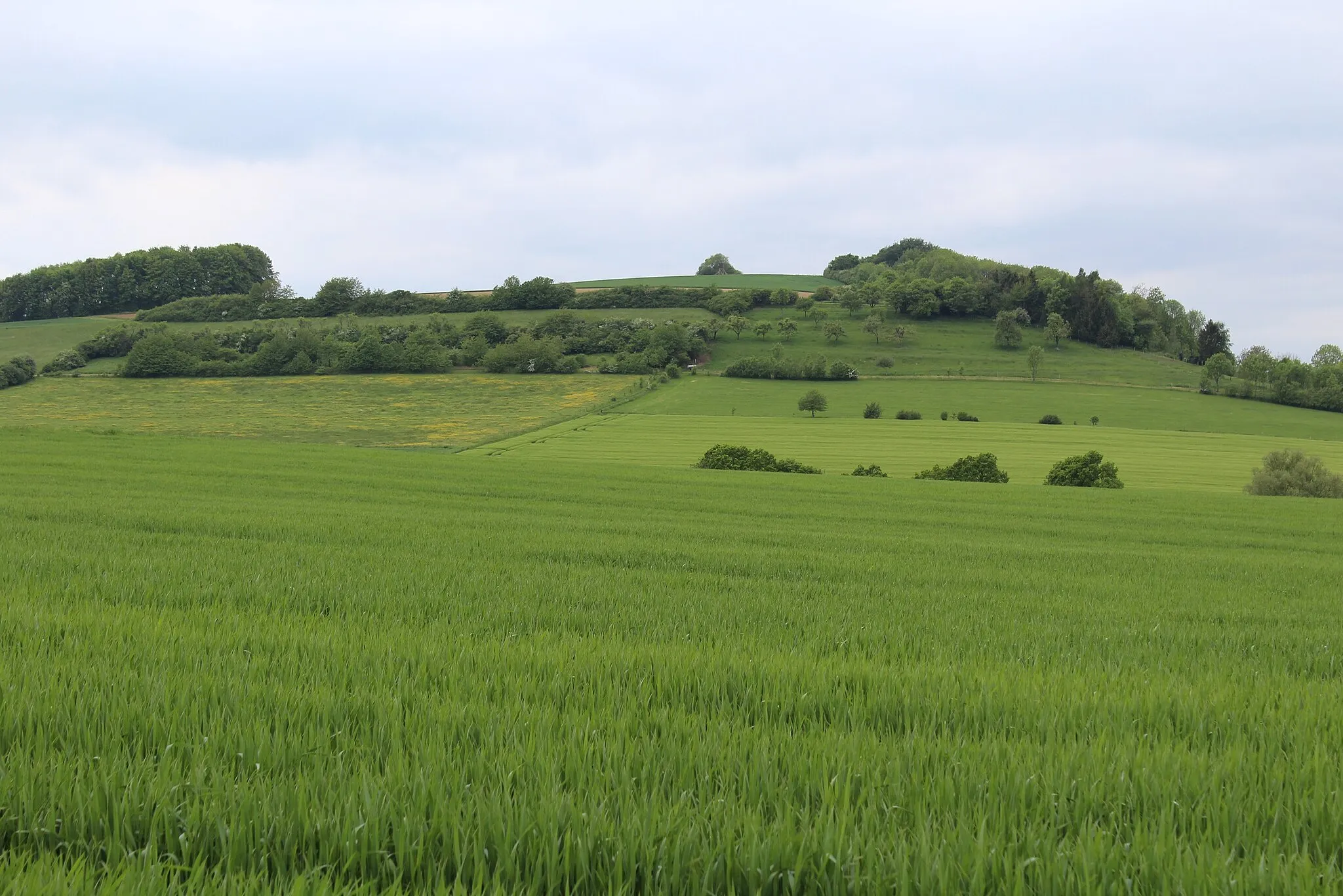 Photo showing: Faha (Mettlach), the Altenberg