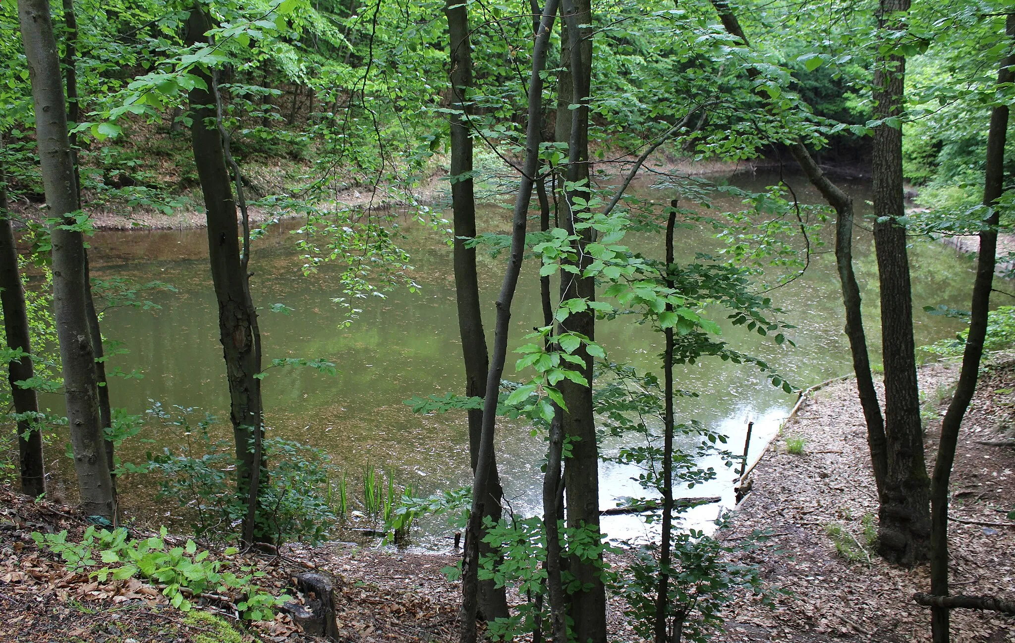 Photo showing: Quierschied, pond nearby power plant "Weiher"