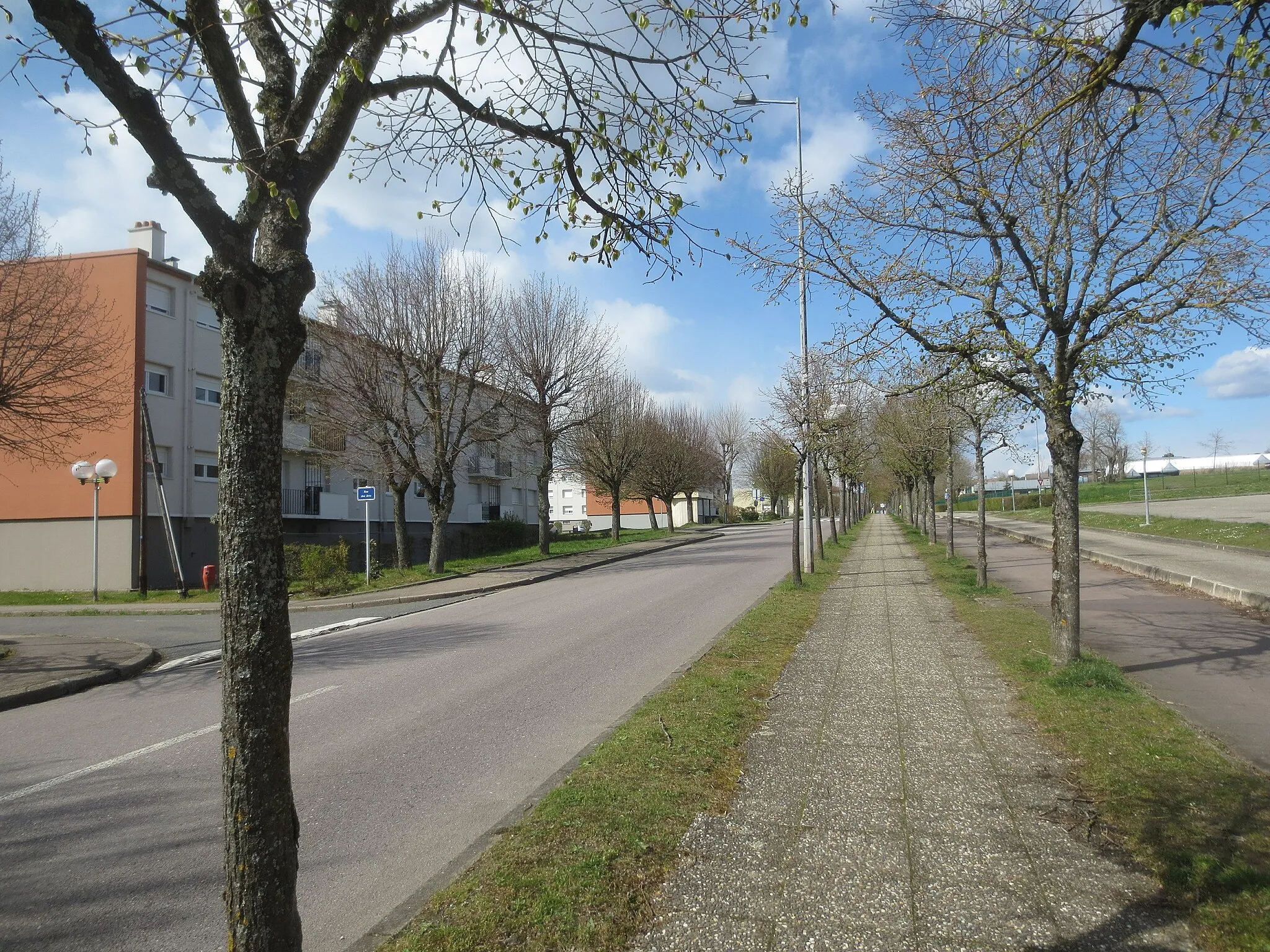 Photo showing: Avenue André Viaud à Faulquemont